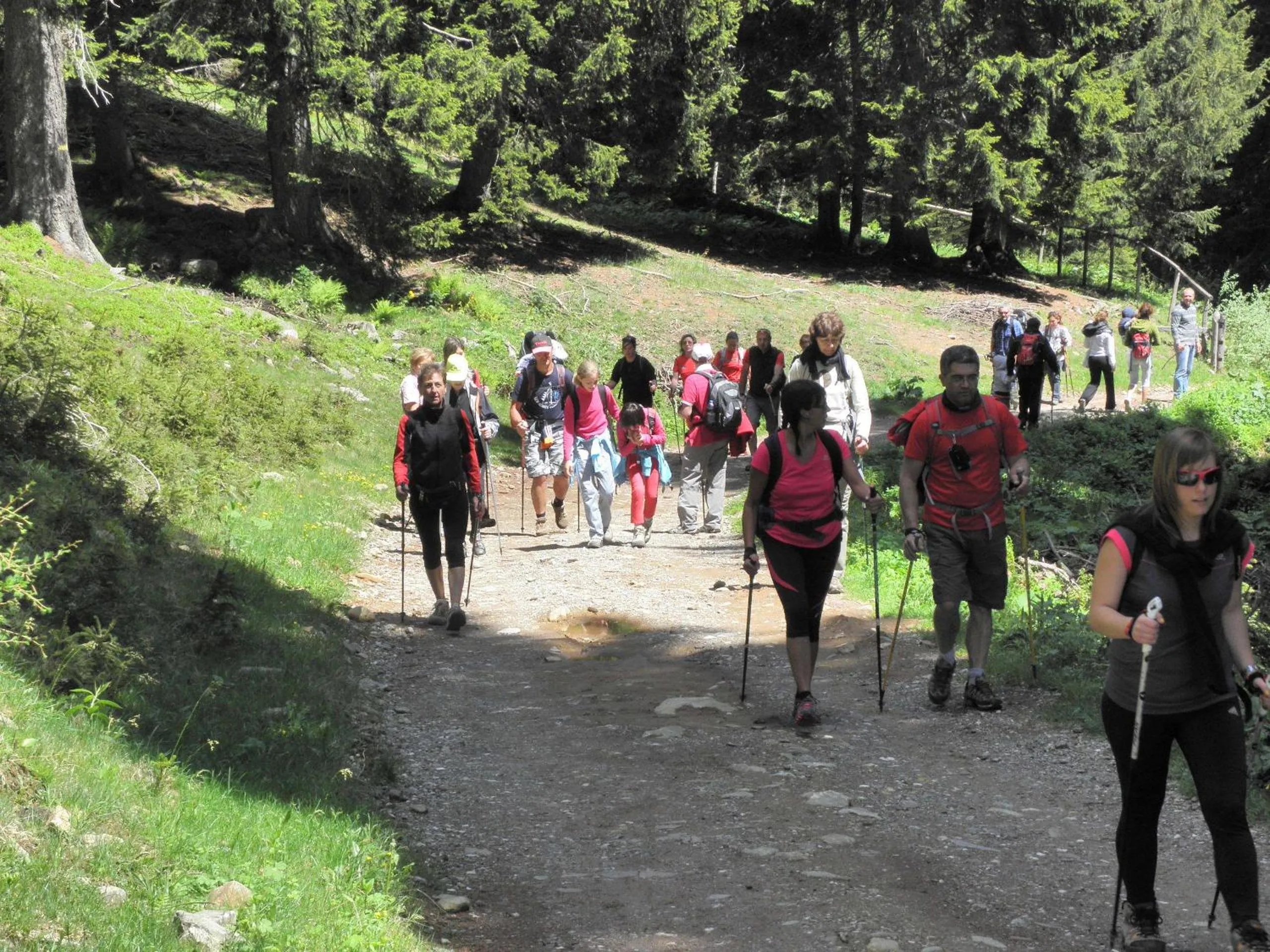 Hiking in Albergo Cavallino Bianco