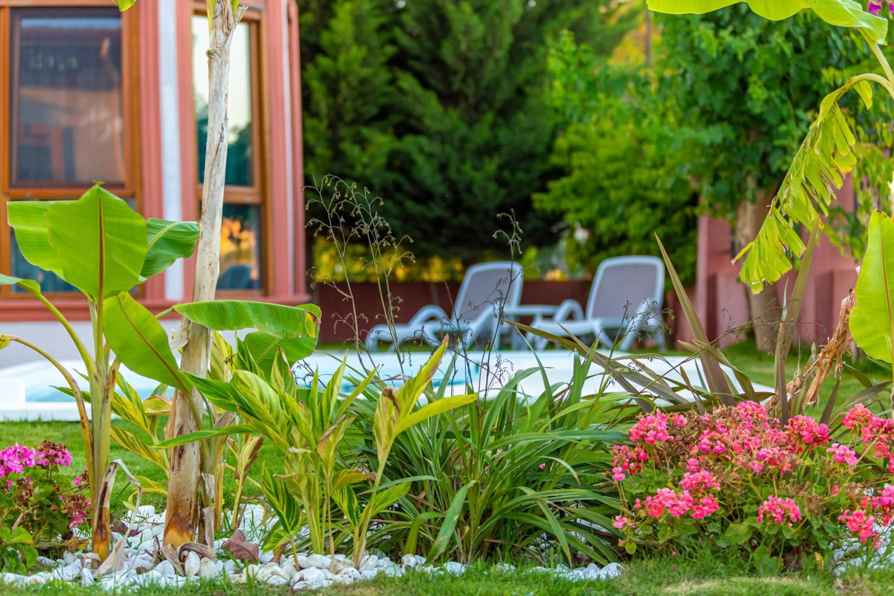 Garden in VISTA Villa