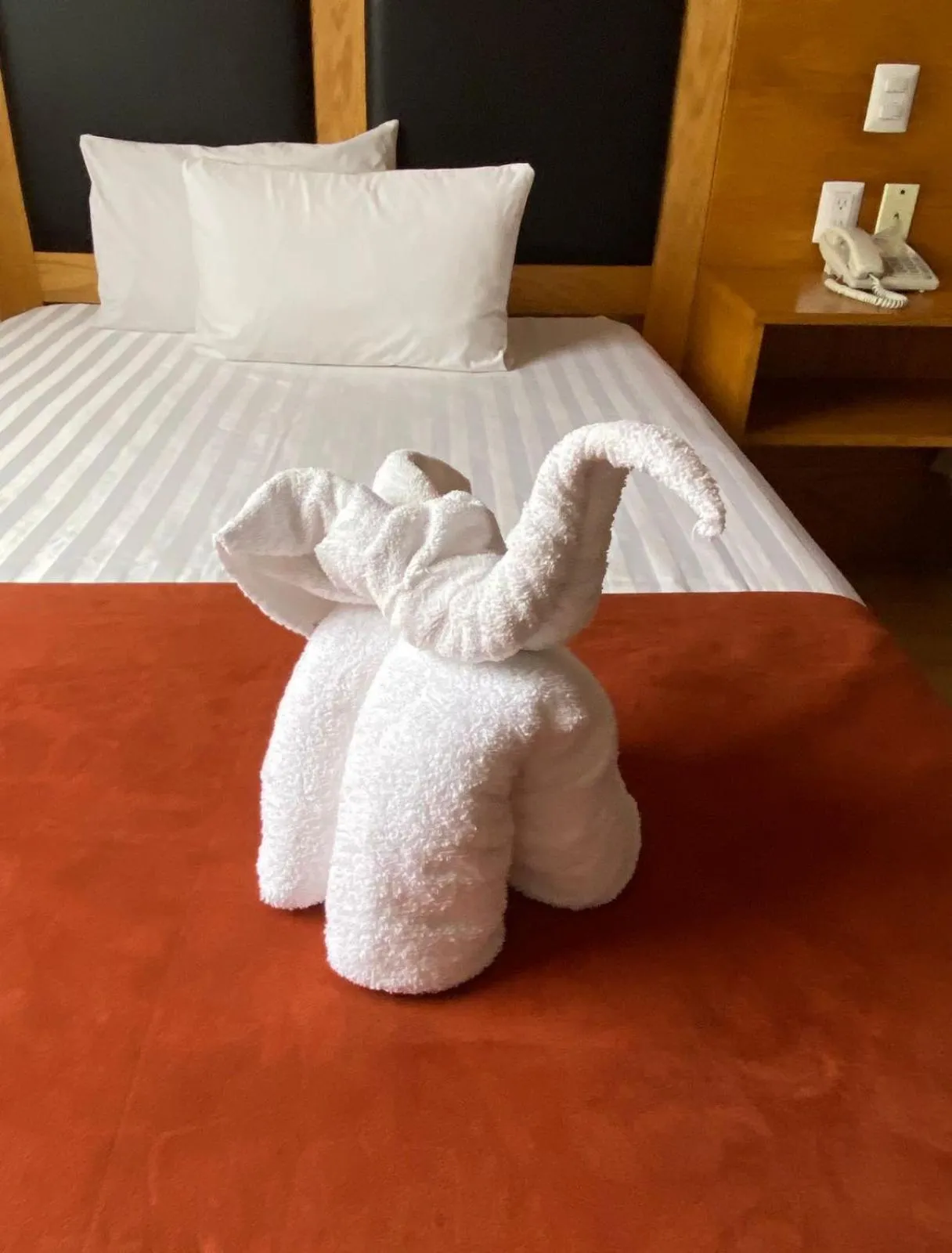 Bed in Paris FC Express