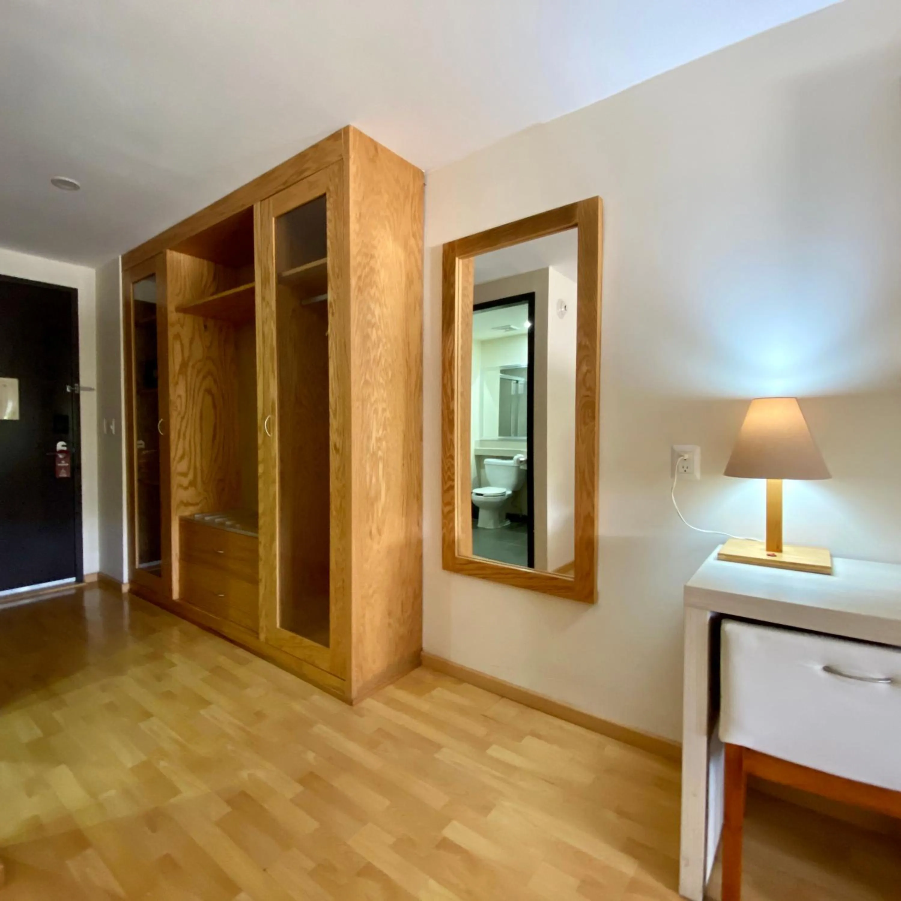 King Room with Roll-In Shower - Disability Access in Paris FC Express