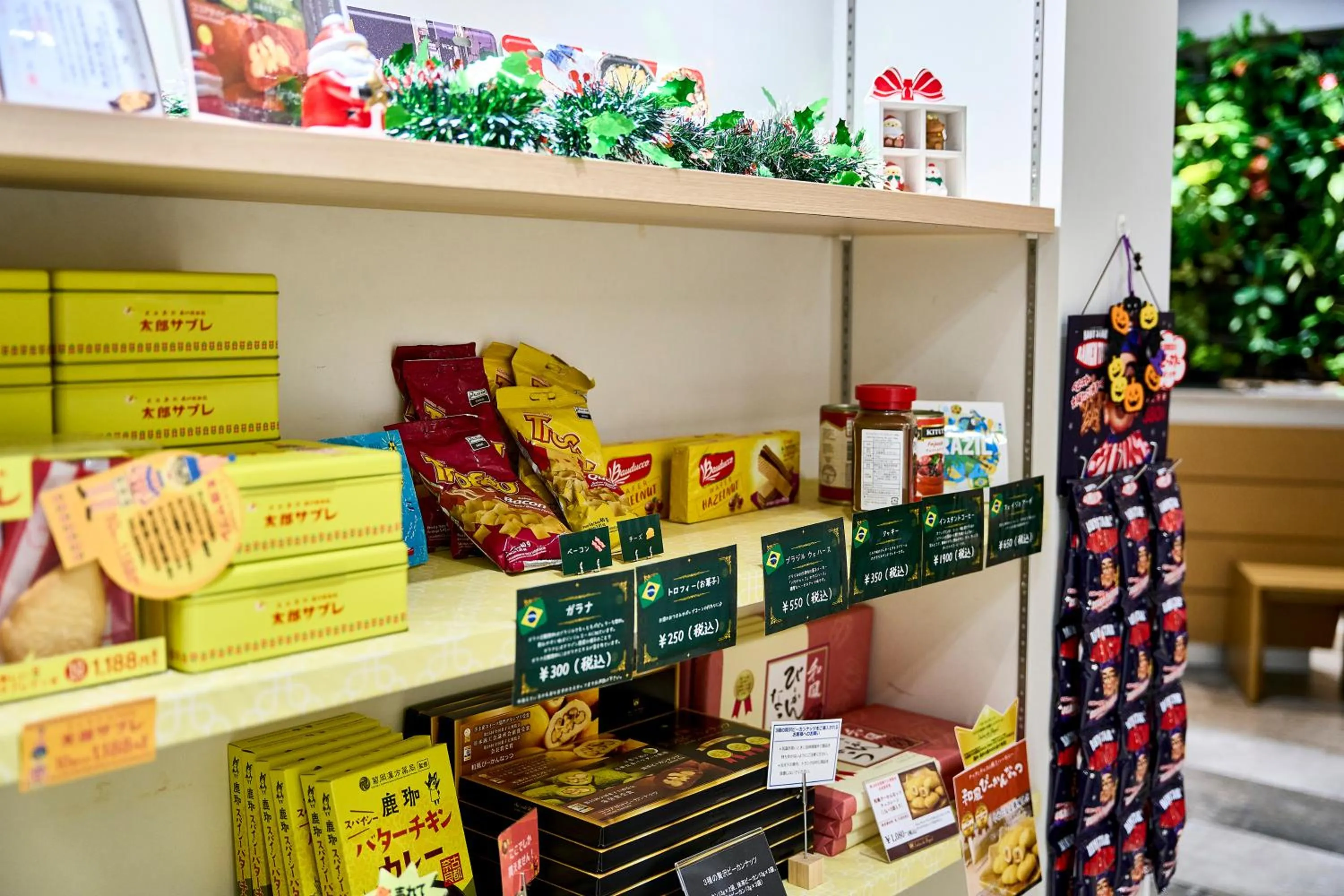 Area and facilities in Hotel Sobial Osaka Dome