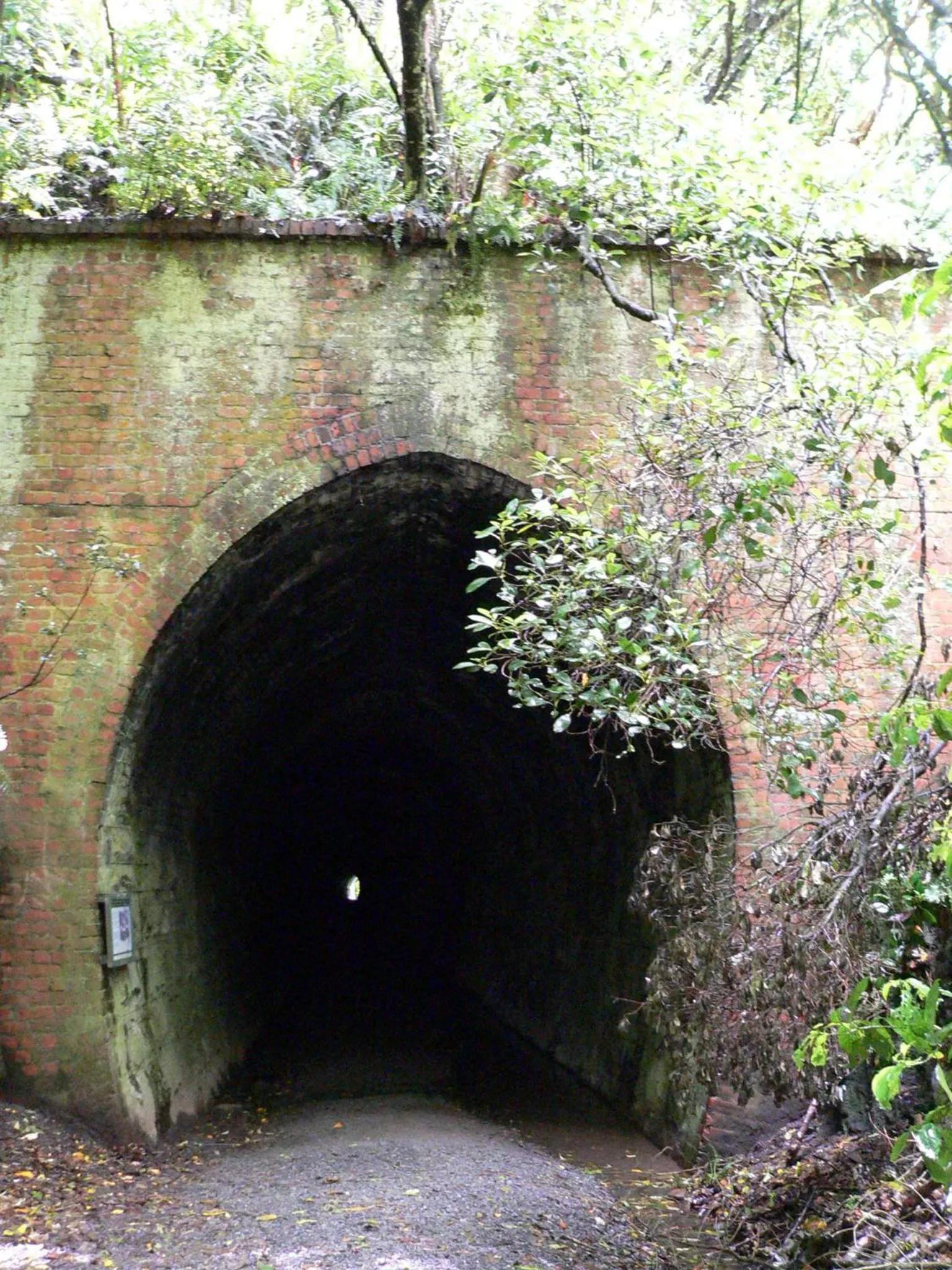 BBQ facilities in Surat Bay Lodge, Motel and Backpackers