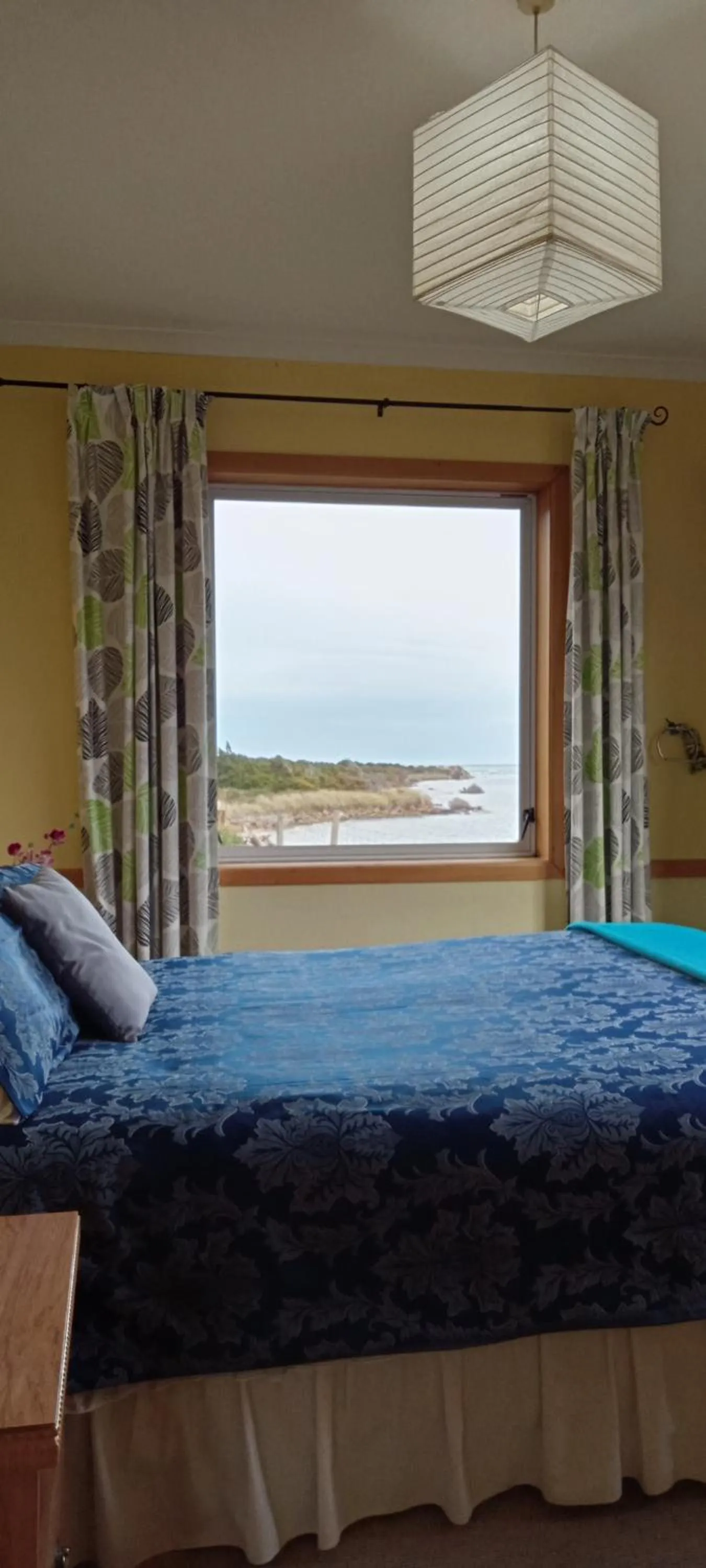 View (from property/room), Bed in Surat Bay Lodge, Motel and Backpackers