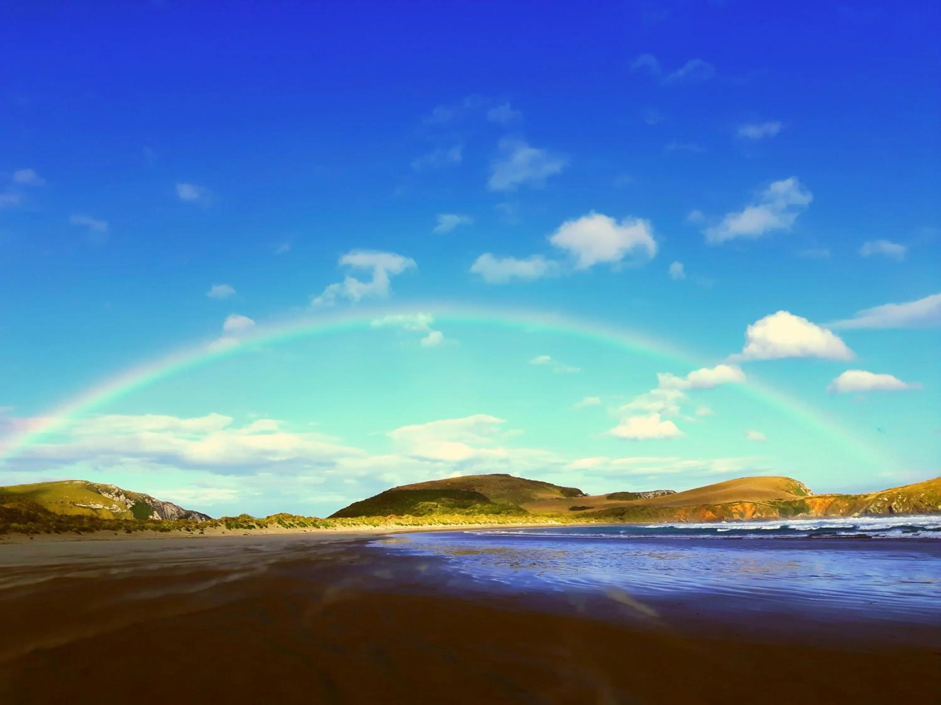 Surat Bay Lodge, Motel and Backpackers
