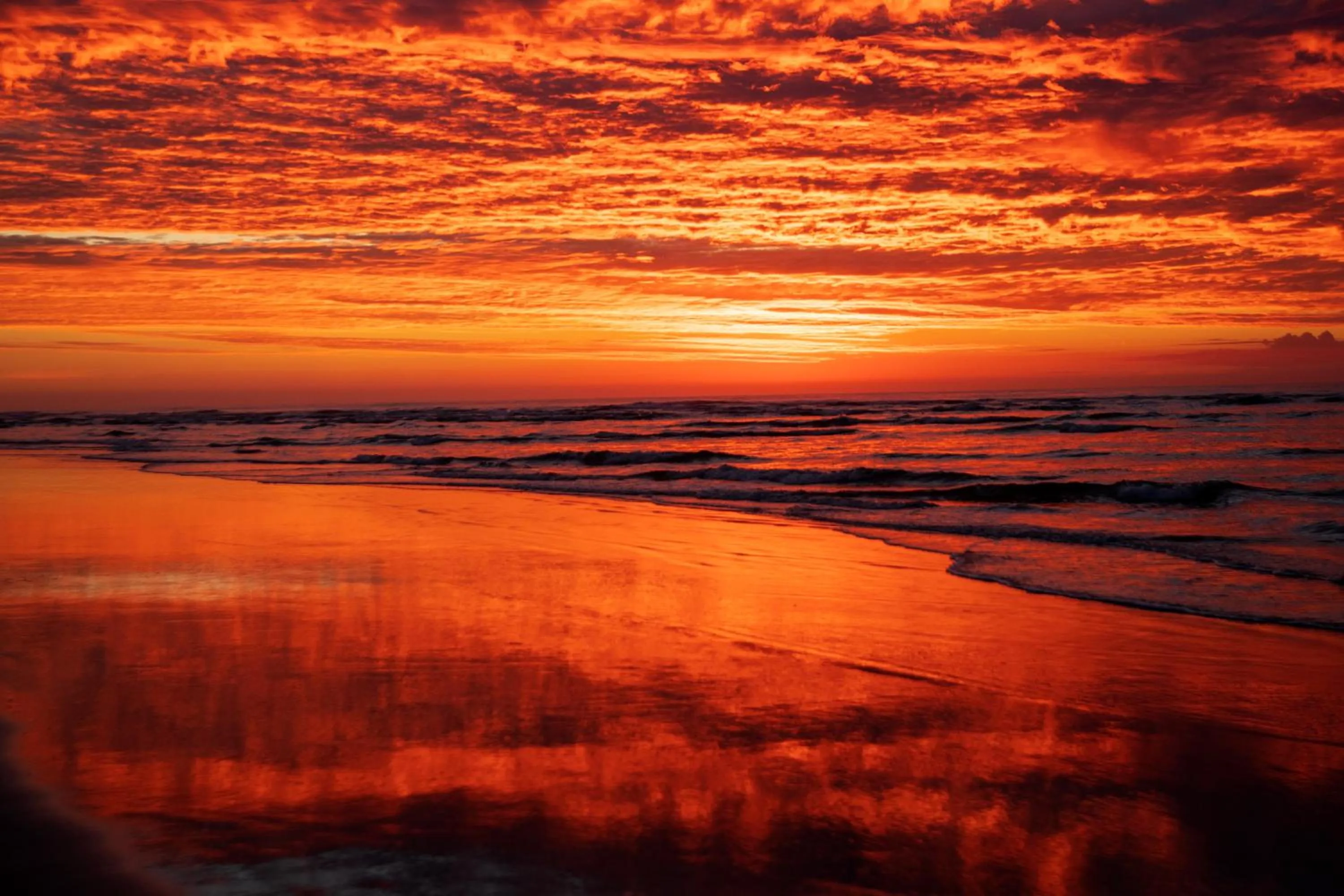 Surat Bay Lodge, Motel and Backpackers