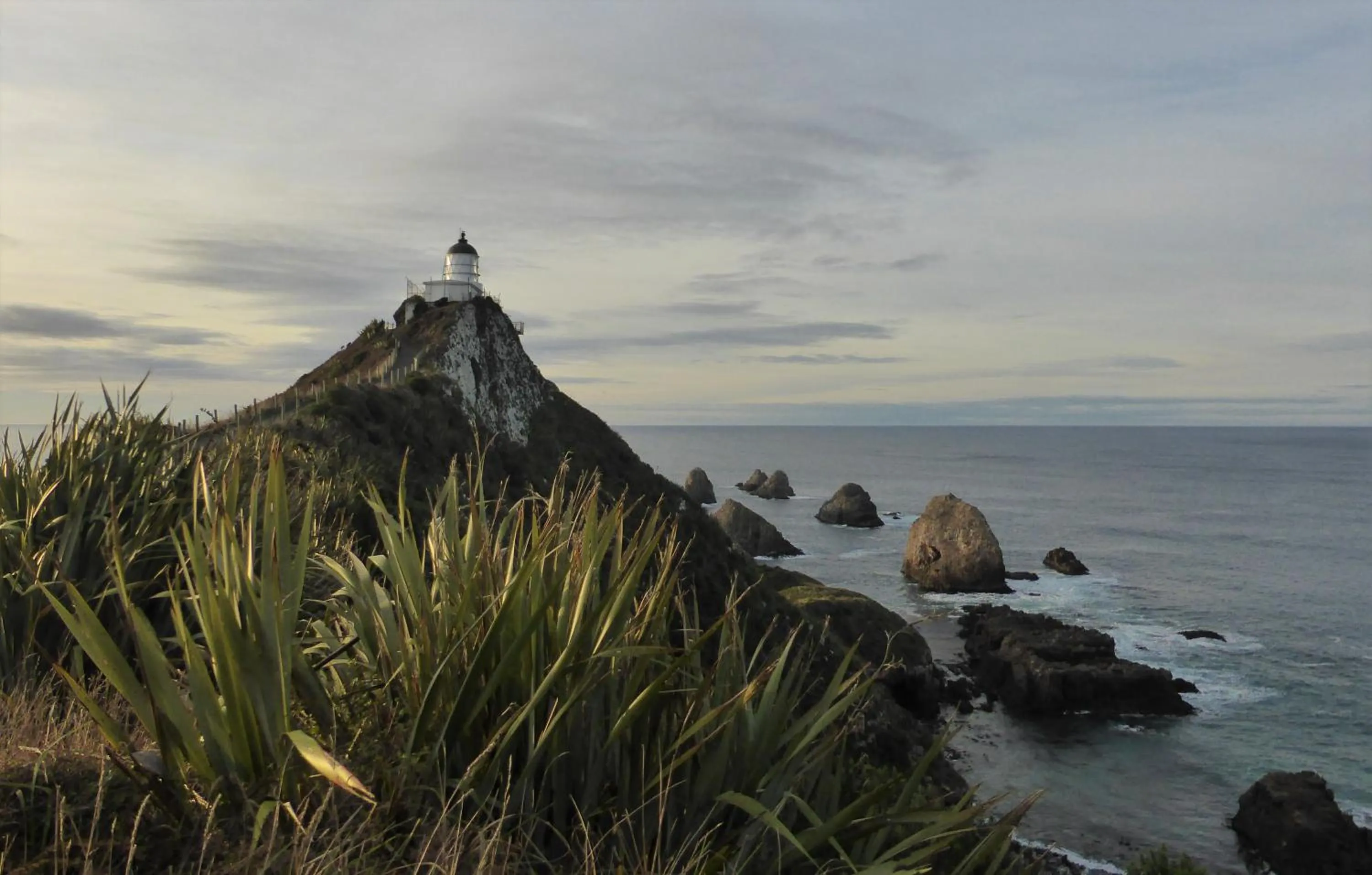 Natural landscape in Surat Bay Lodge, Motel and Backpackers