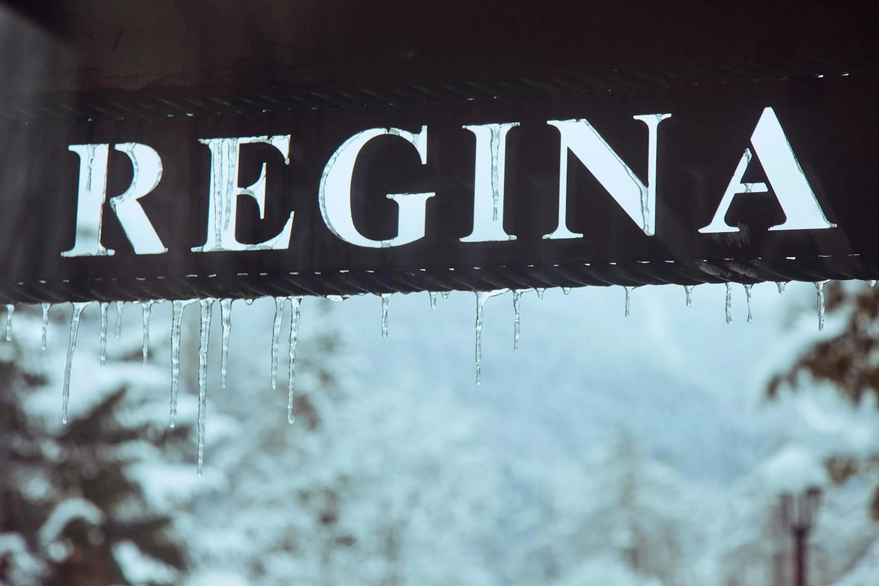 Property logo or sign in Das REGINA Boutiquehotel