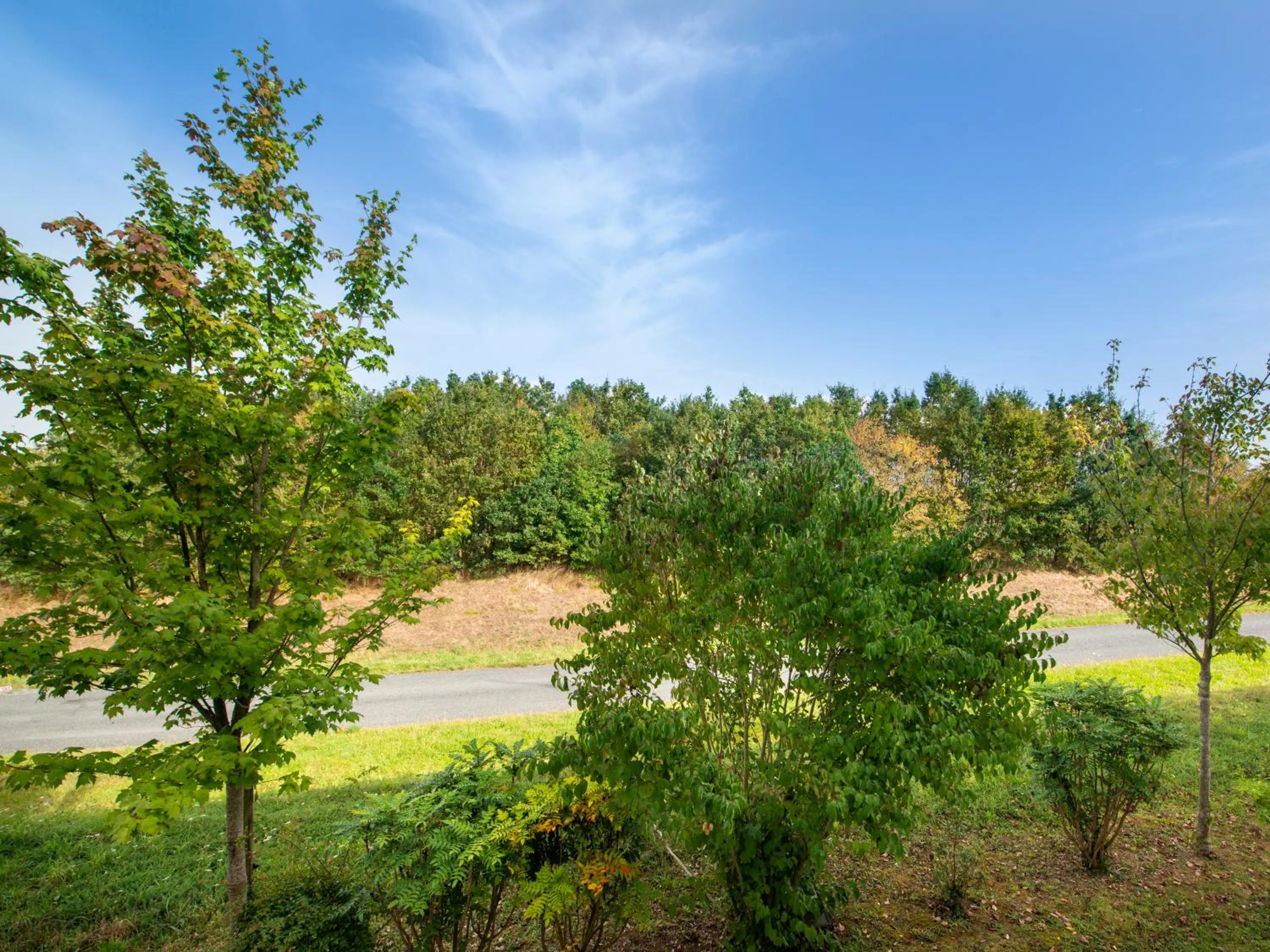 Spring in B&B HOTEL Cholet Nord