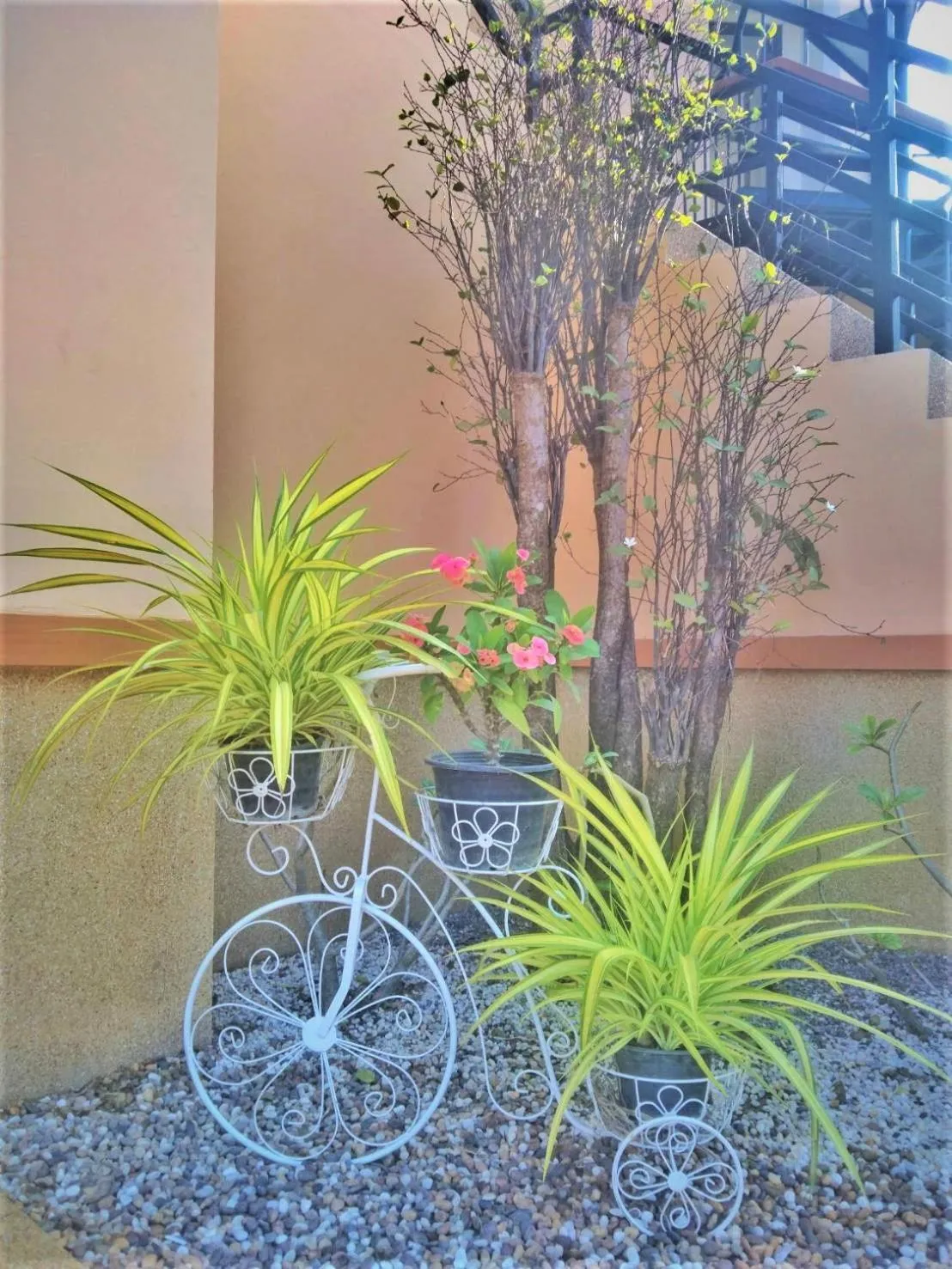 Property building in Elegancy Resort Hua Hin