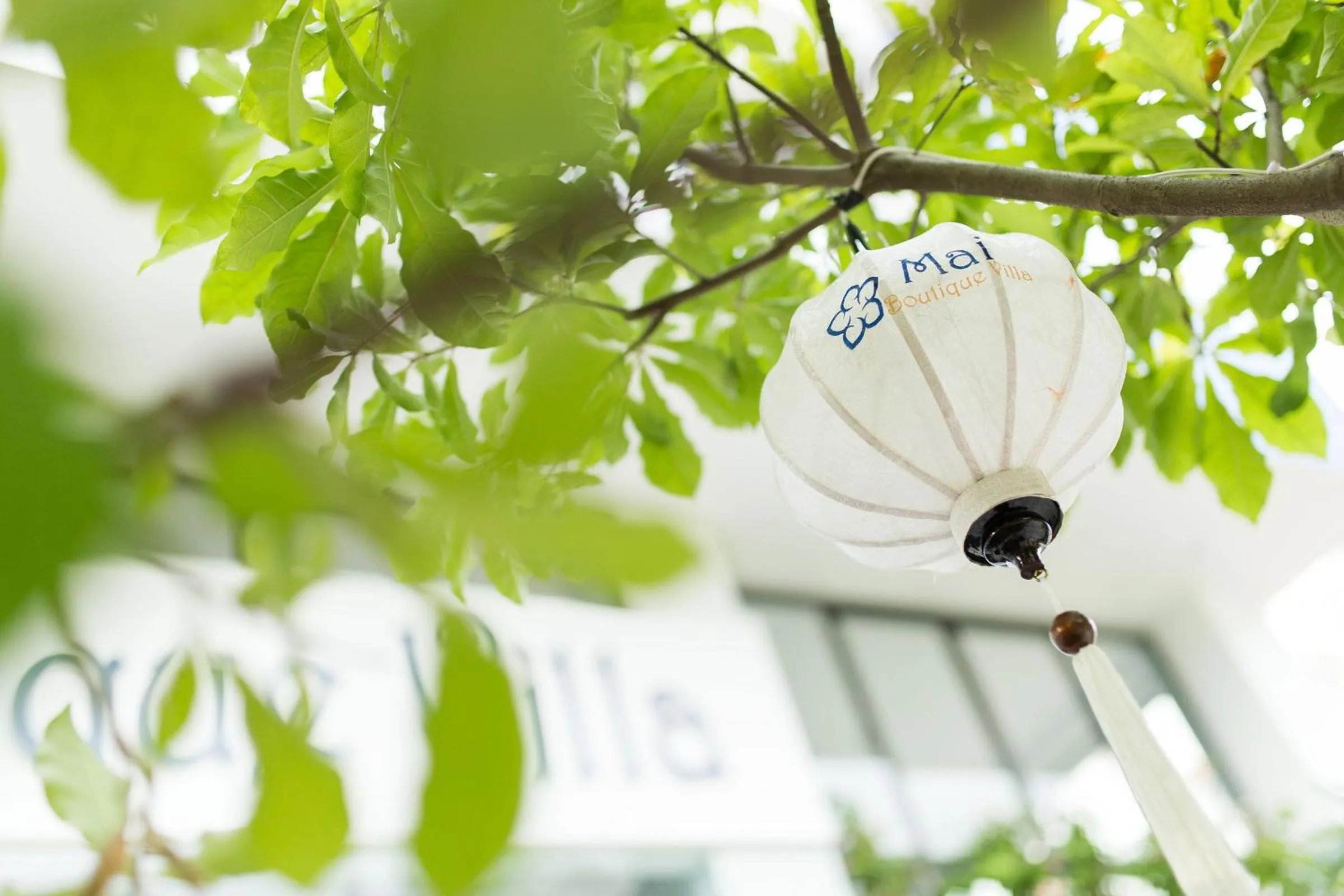 Decorative detail in Mai Boutique Villa