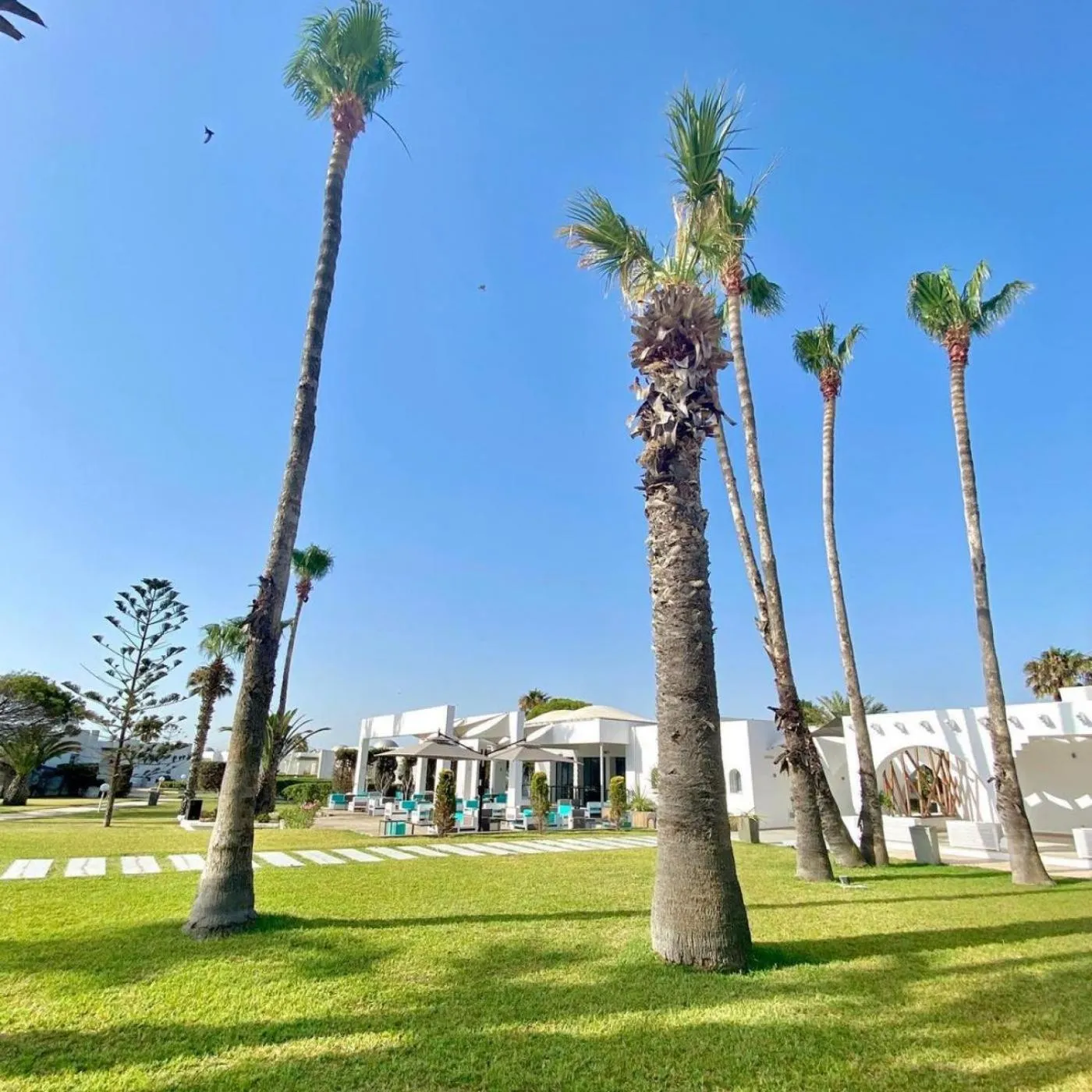 Garden in Residence Ain Meriem