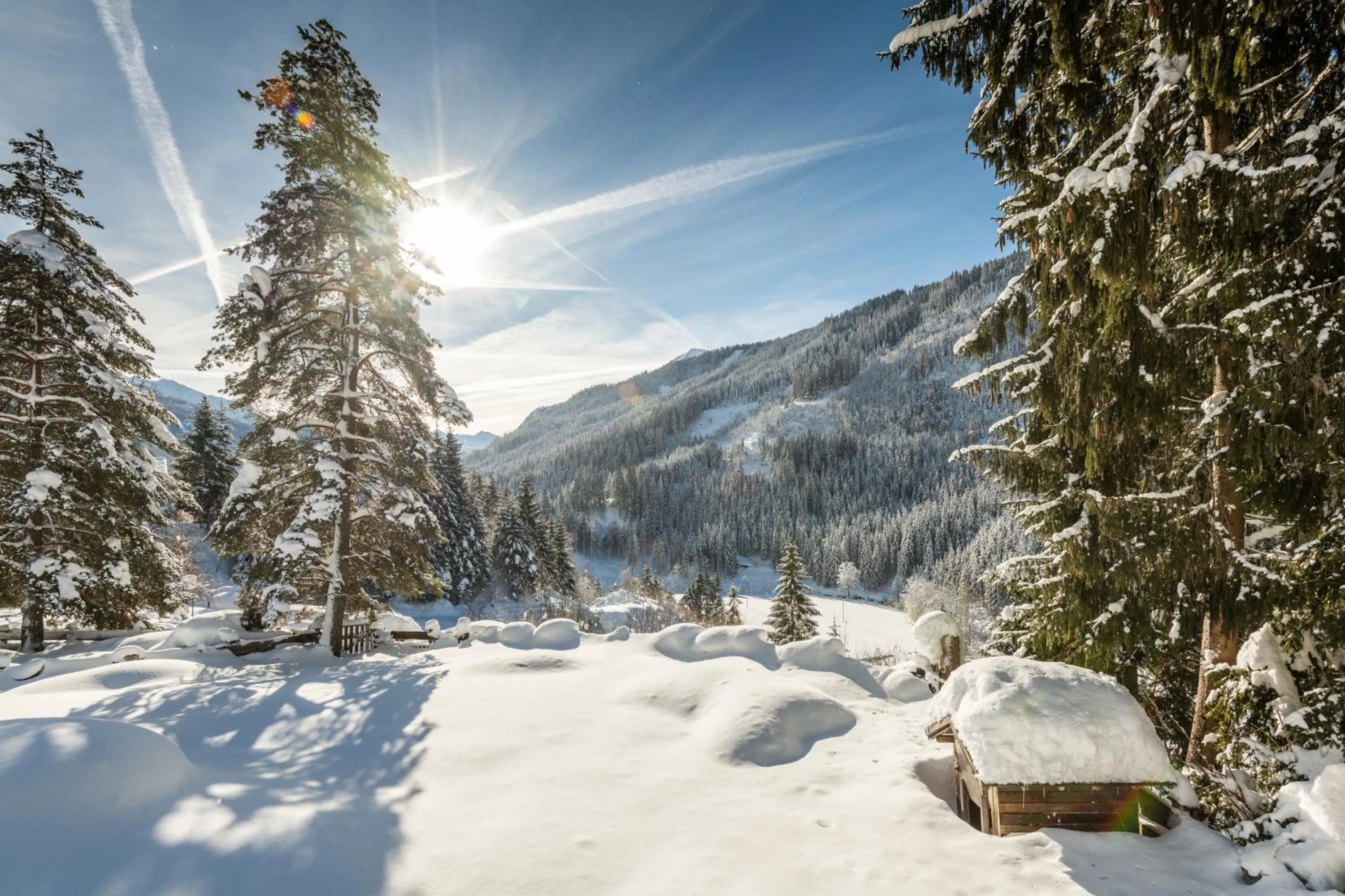 Mountain view in Hotel Hammerwirt - Forellenhof