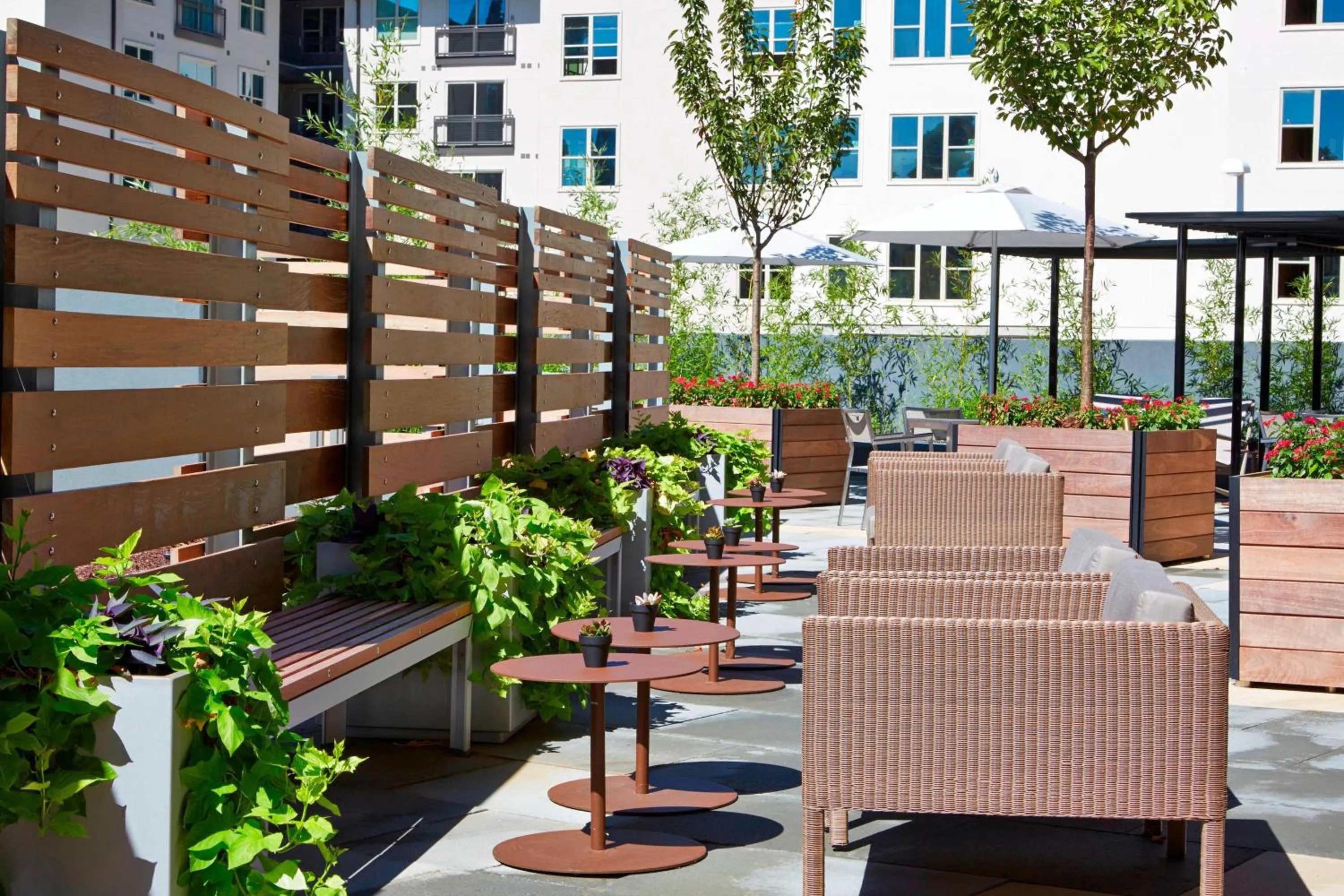 View (from property/room) in AC Hotel by Marriott Atlanta Buckhead at Phipps Plaza