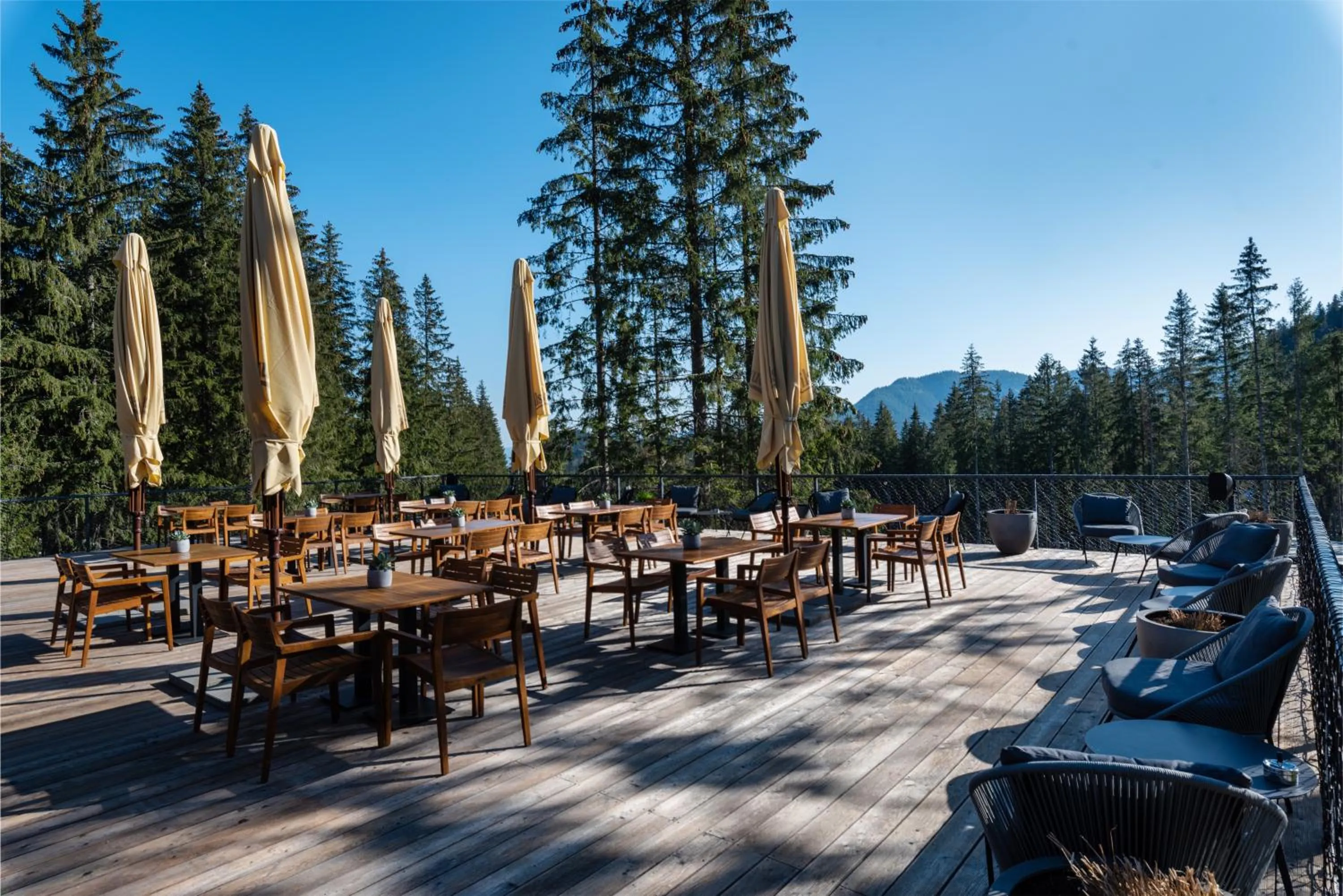 Restaurant/places to eat in Hotel Björnson & Björnson TREE HOUSES Jasná