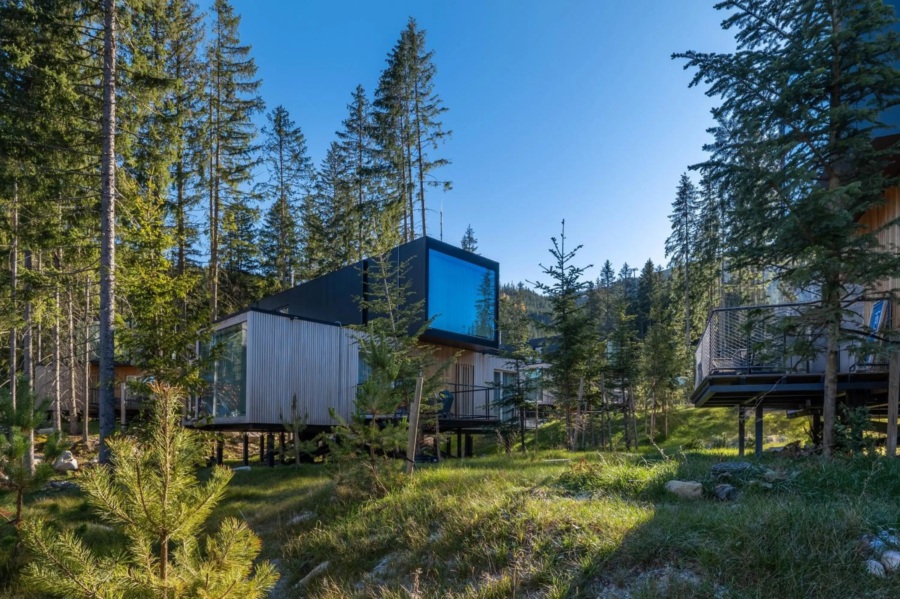 Hotel Björnson & Björnson TREE HOUSES Jasná