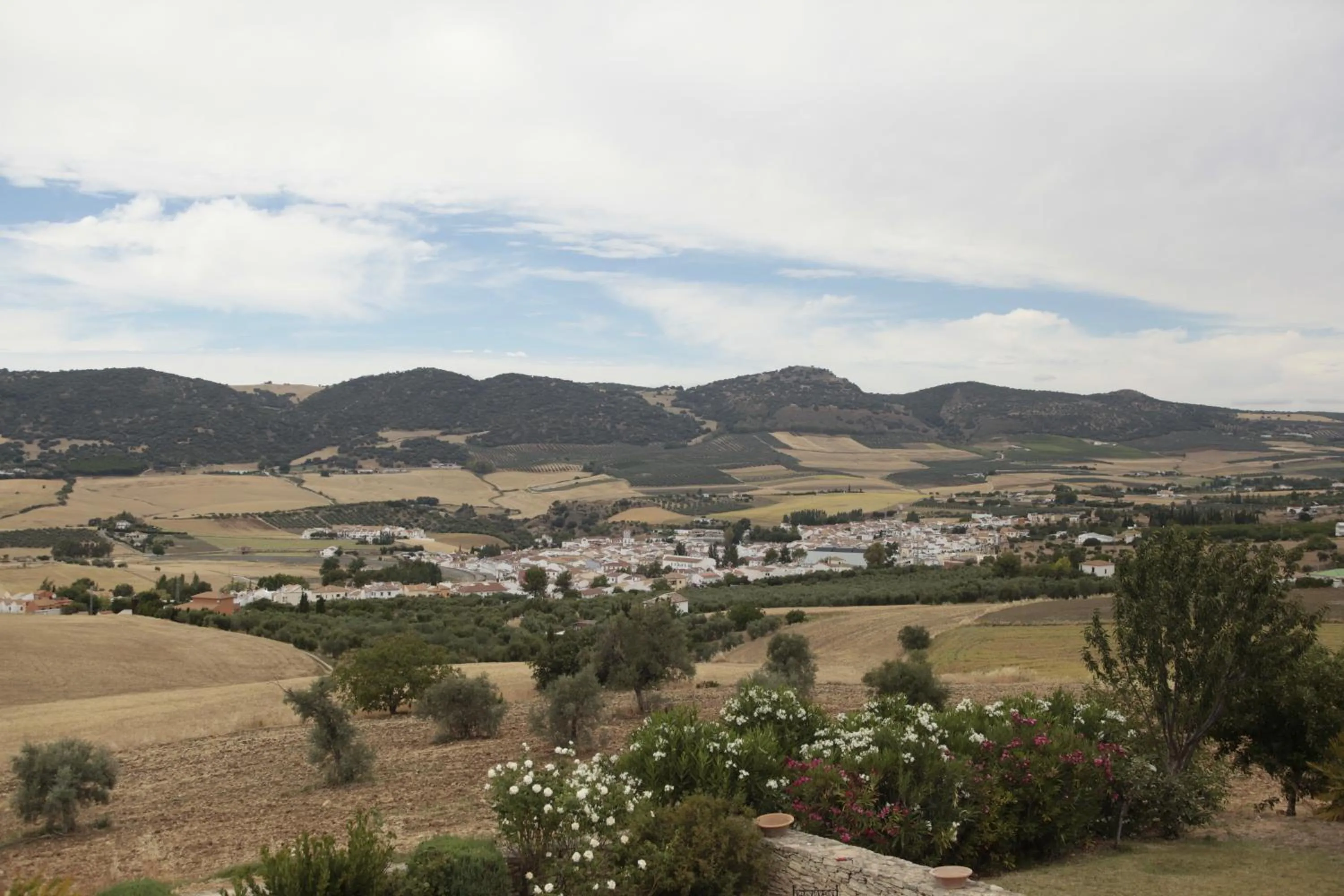 View (from property/room) in Arriadh Hotel