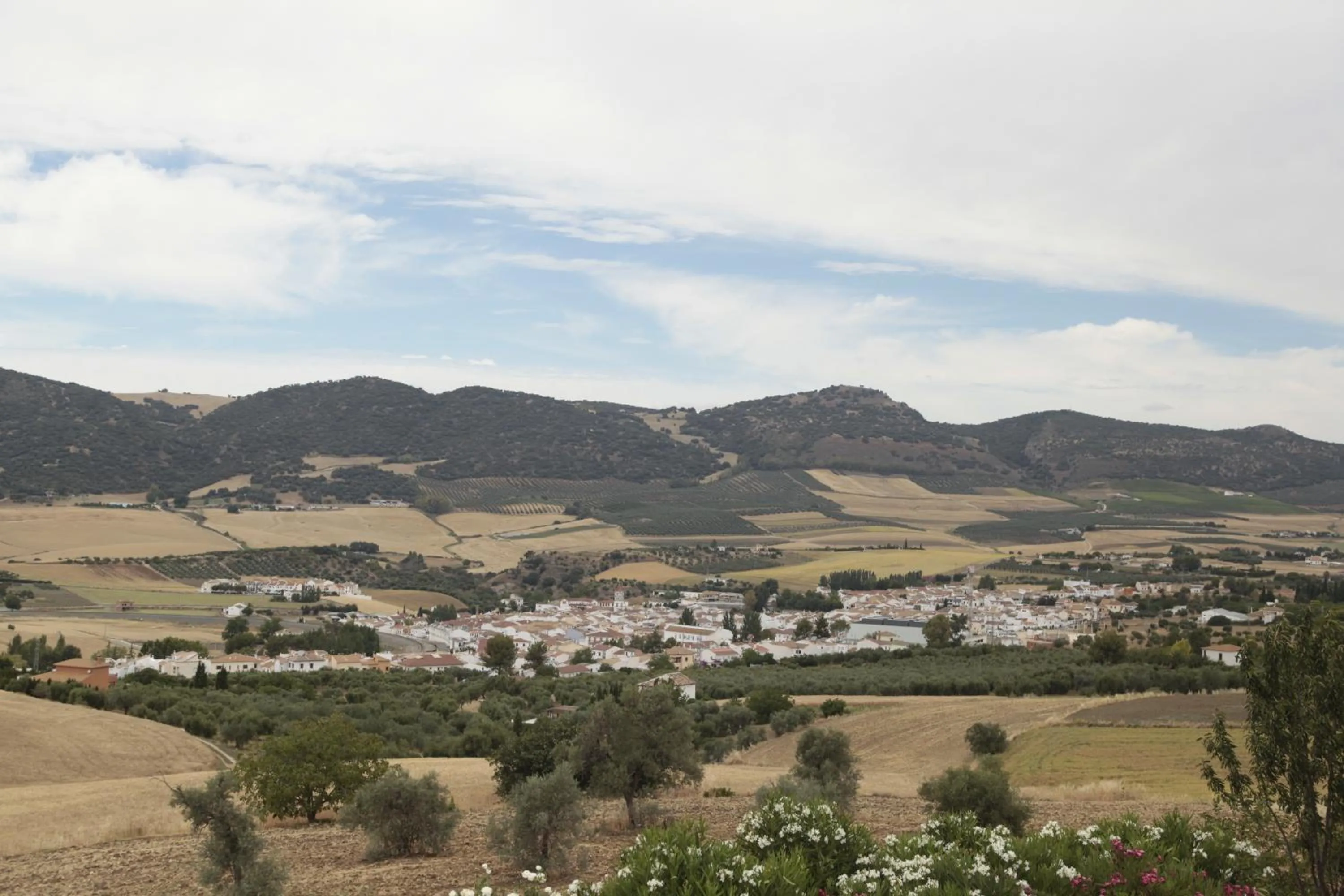 View (from property/room) in Arriadh Hotel