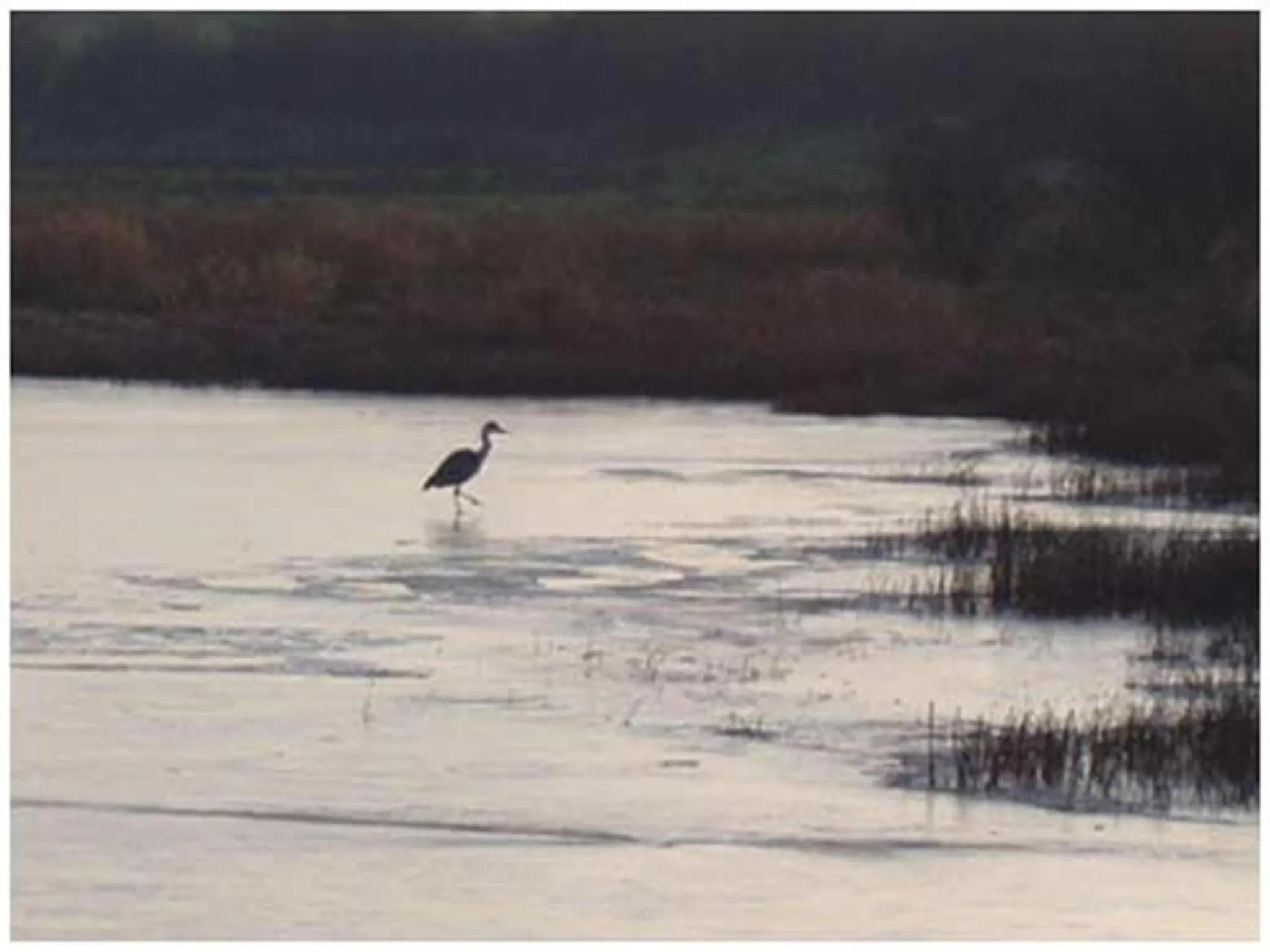 Area and facilities in An Grianan Hotel