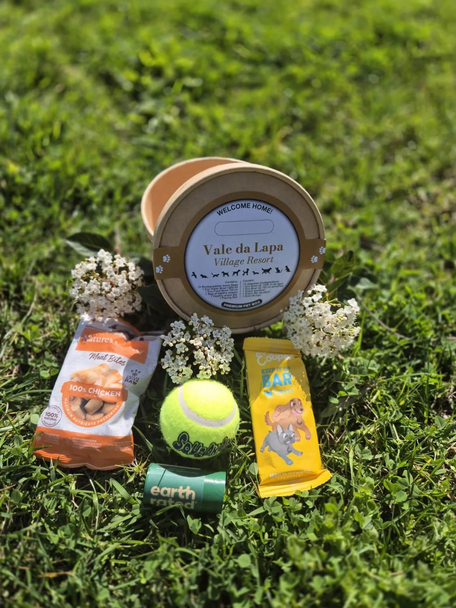 Pets in Vale da Lapa Village Resort