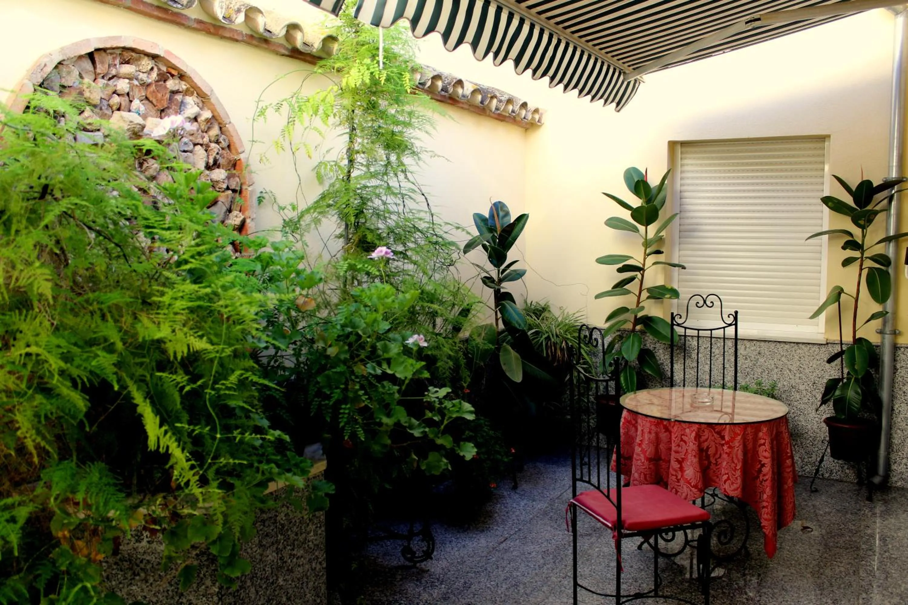 Patio in Maximiano Herculeo