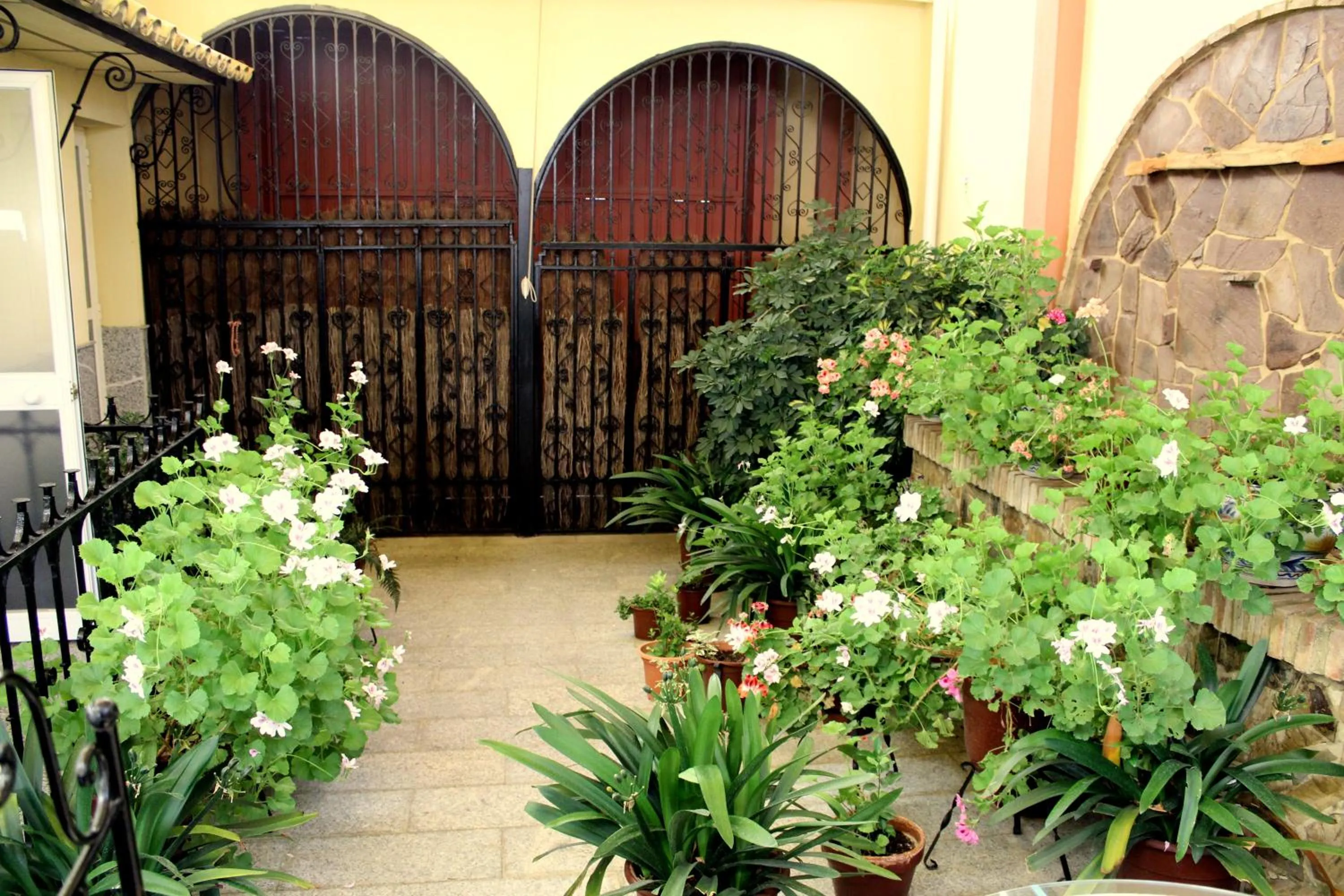 Spring in Maximiano Herculeo