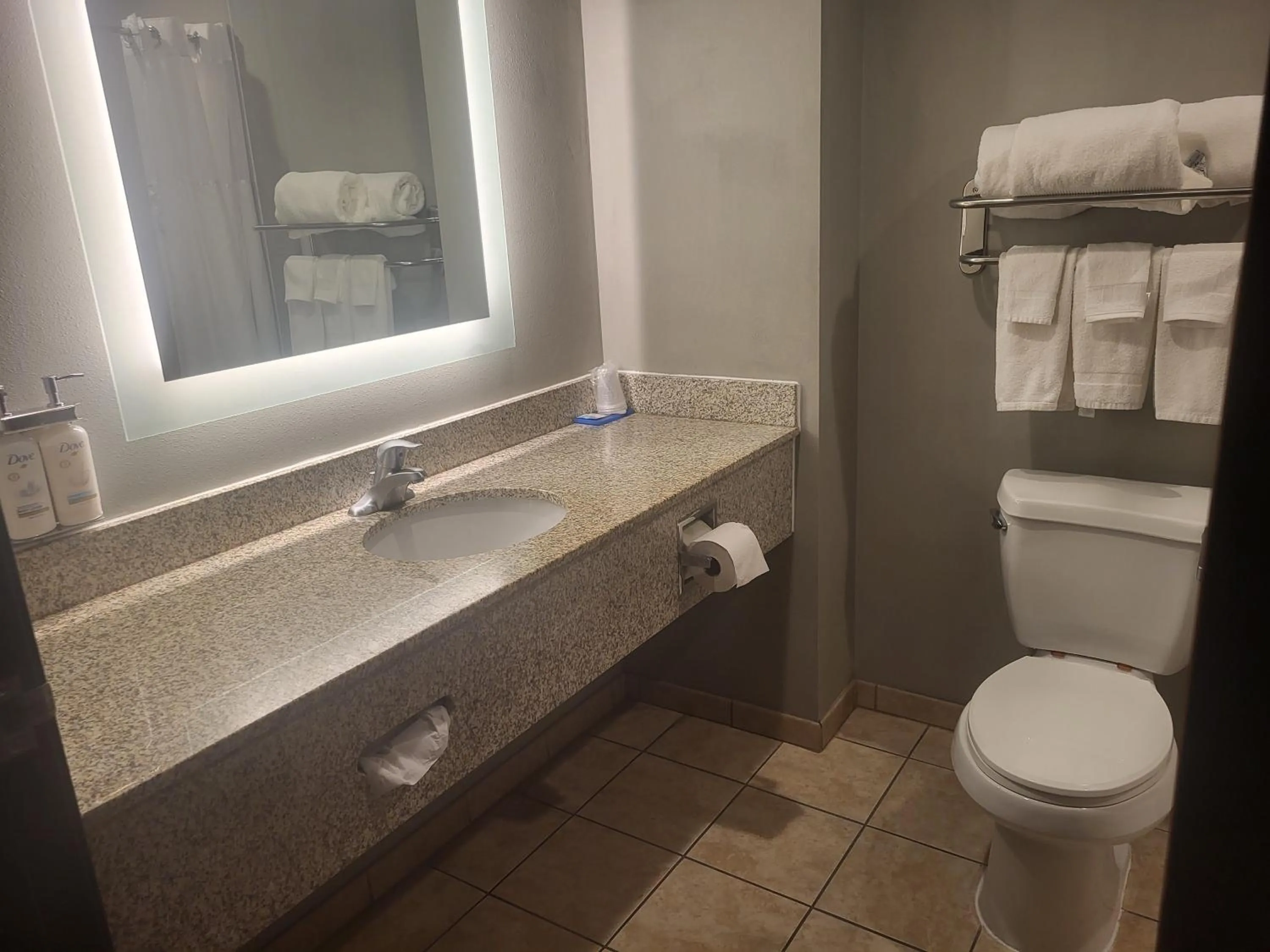 Bathroom in Comfort Inn & Suites Miami - Route 66