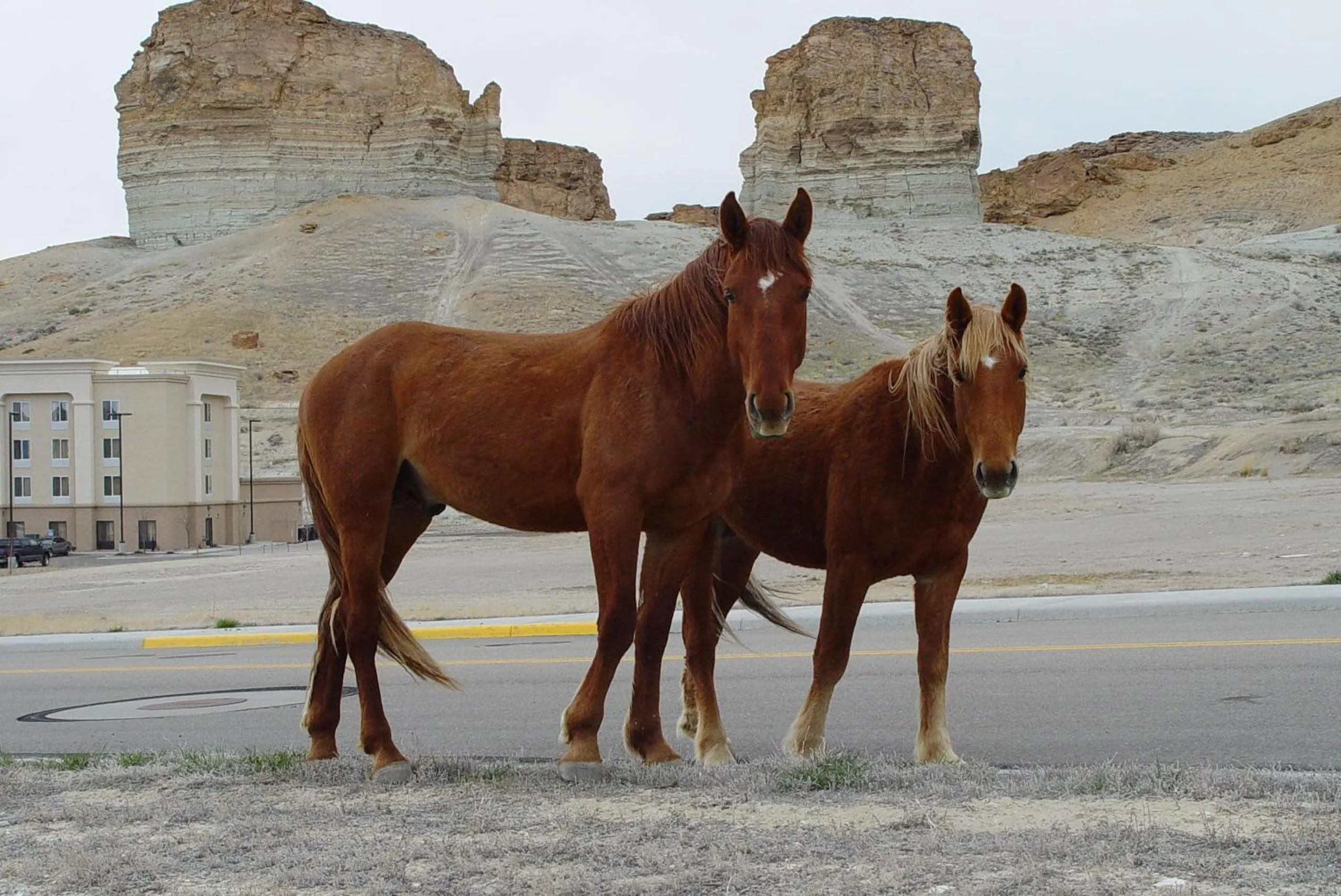 Property building in Hampton Inn & Suites Green River