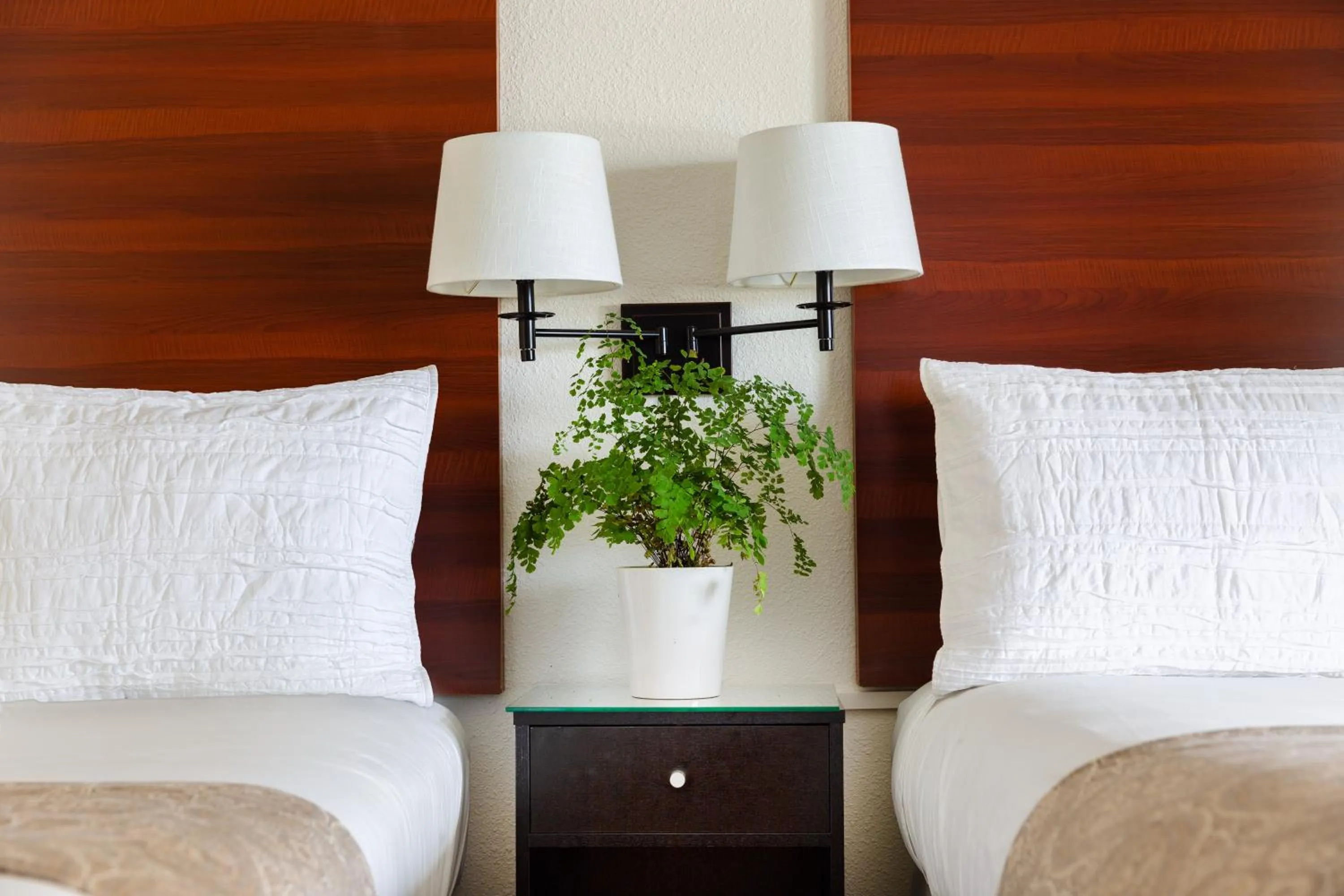 Bed in Diablo Mountain Inn Walnut Creek