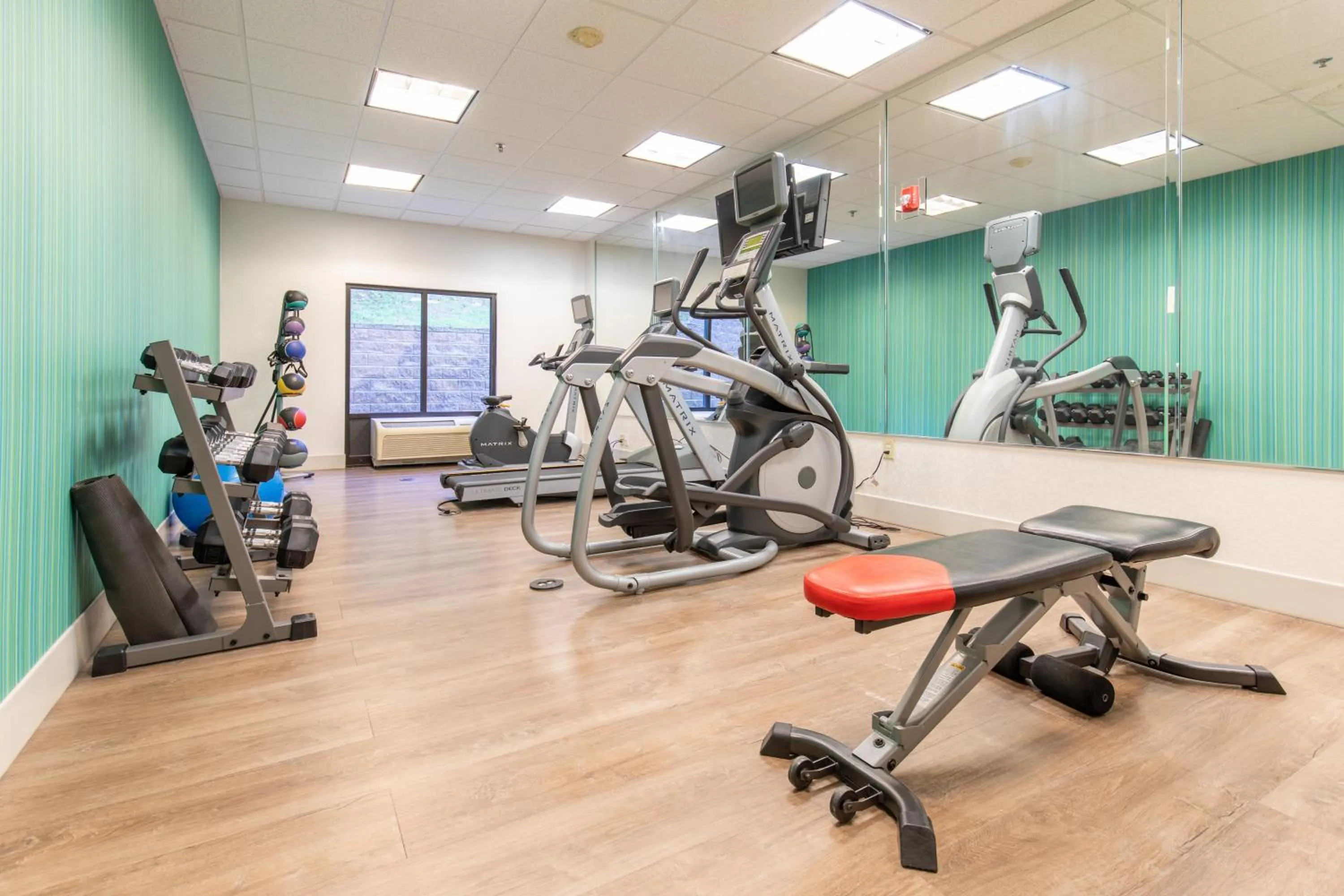 Fitness centre/facilities in Holiday Inn Express Johnson City by IHG