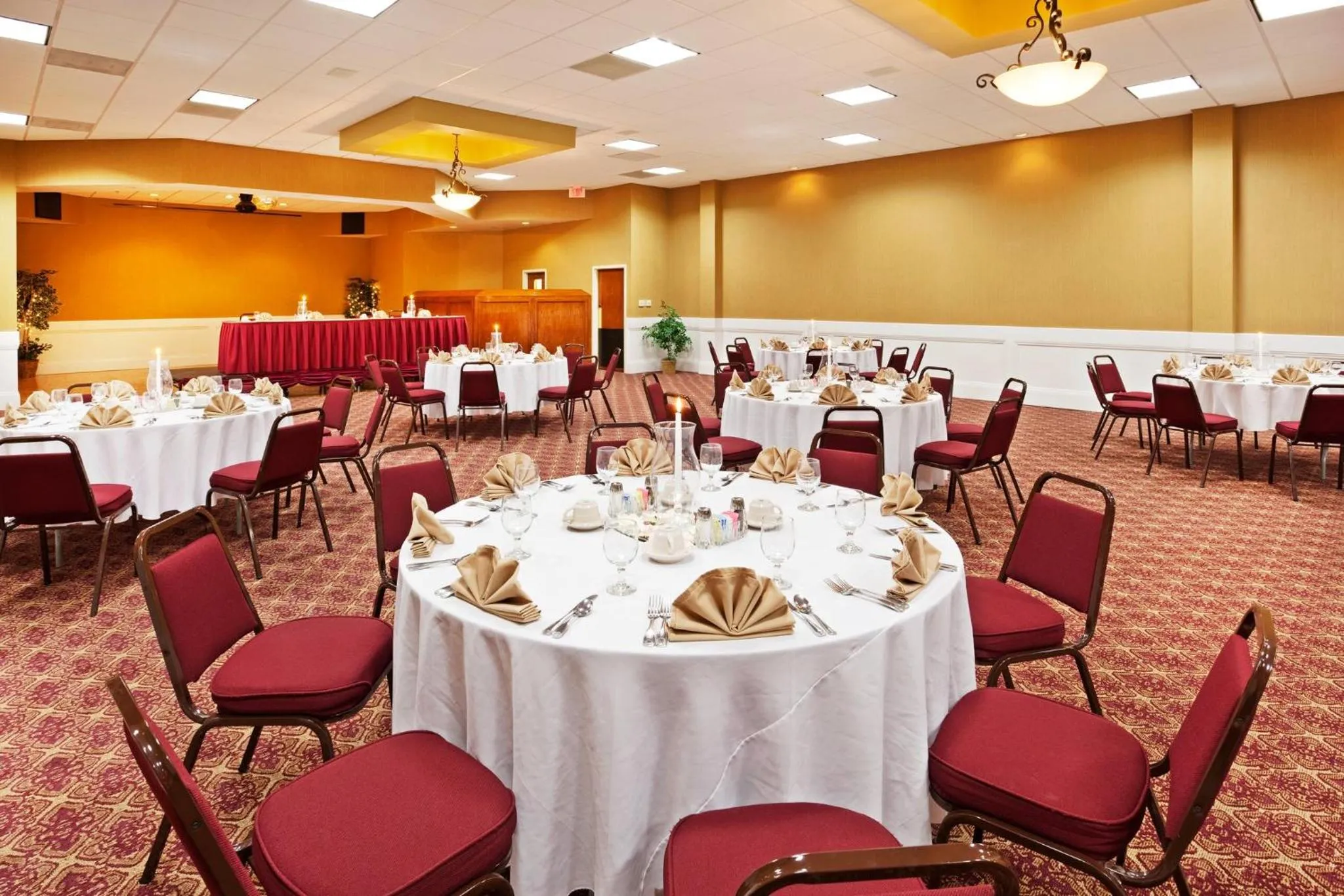 Banquet/Function facilities in Holiday Inn Johnson City by IHG