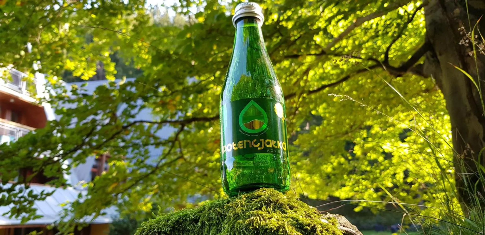 Restaurant/places to eat in Jelenia Struga MEDICAL SPA