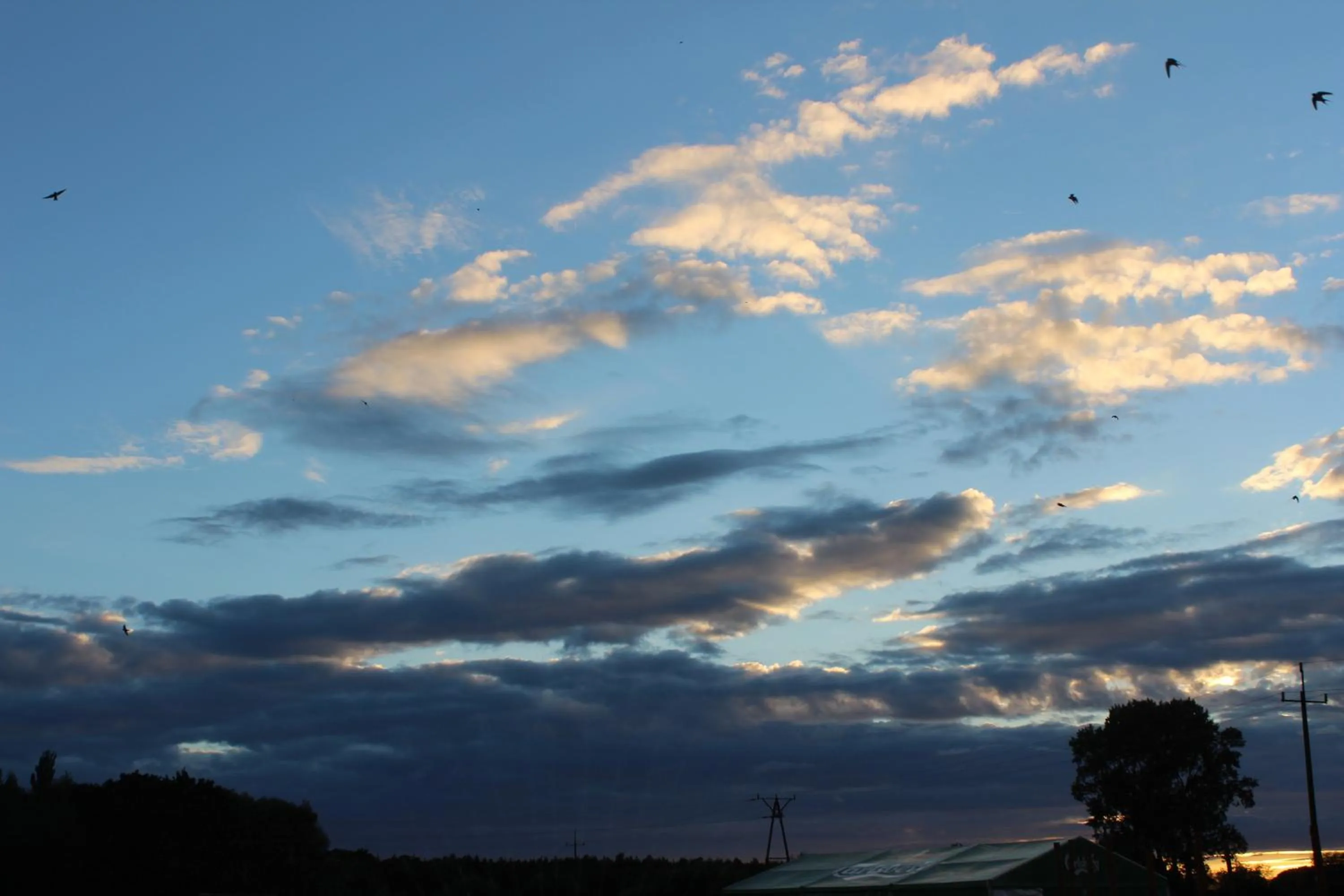 Natural landscape in Feniks Agro&Spa Adults Only