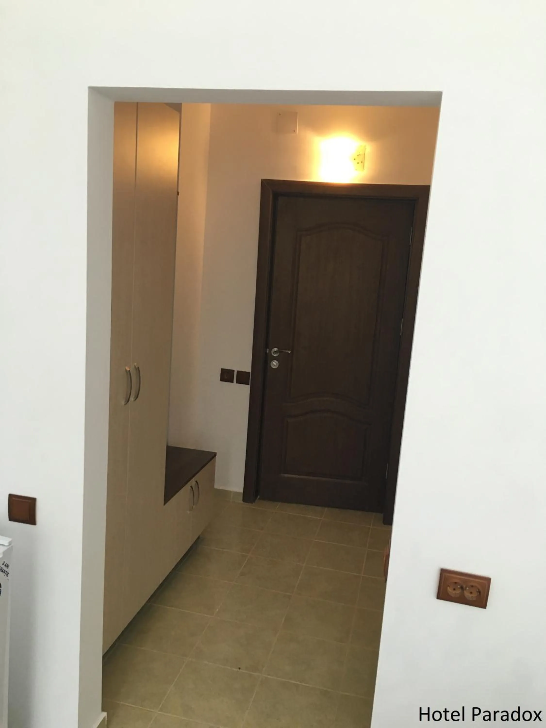 Decorative detail in Paradox Oituz