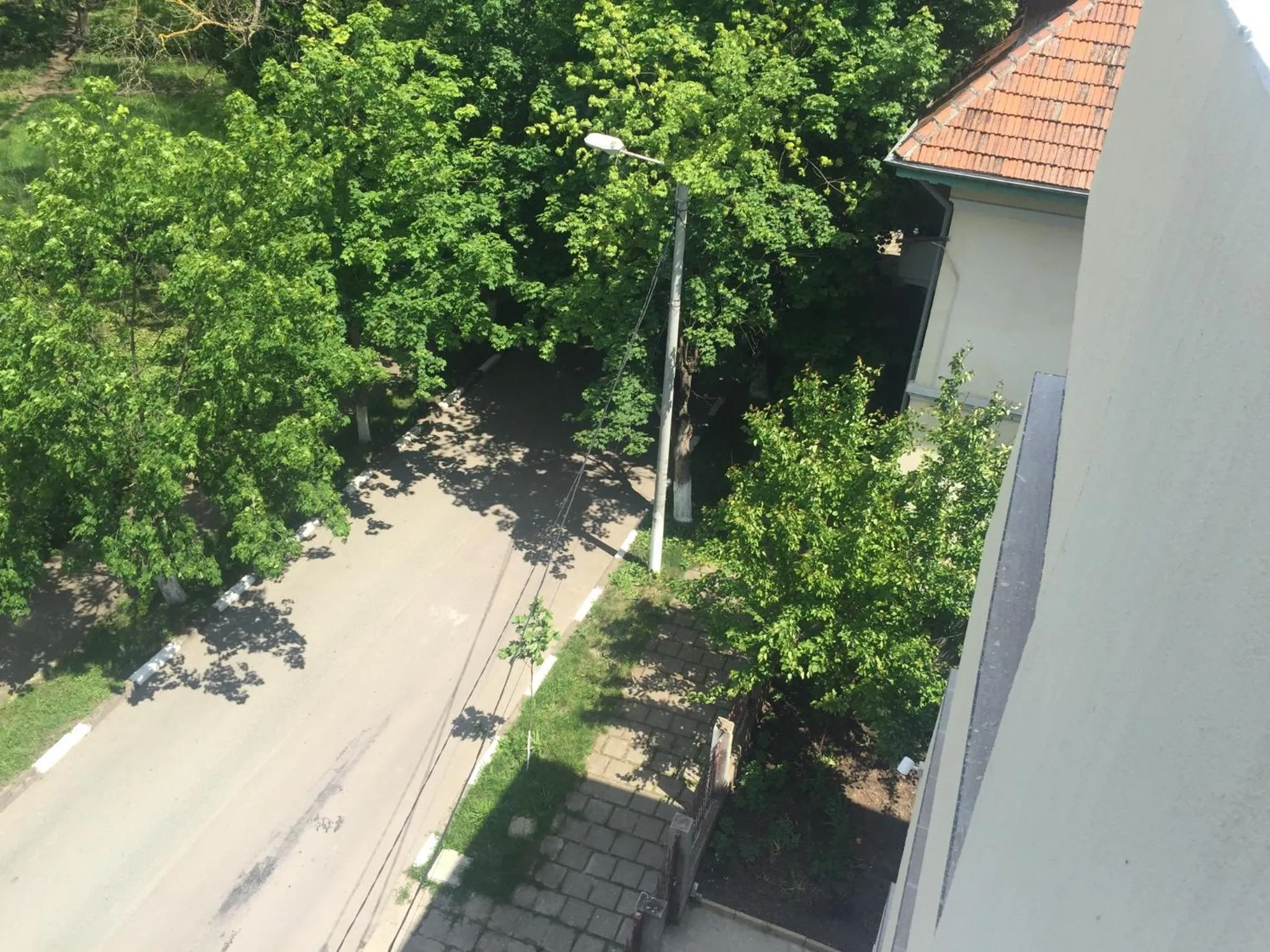 Street view in Paradox Oituz