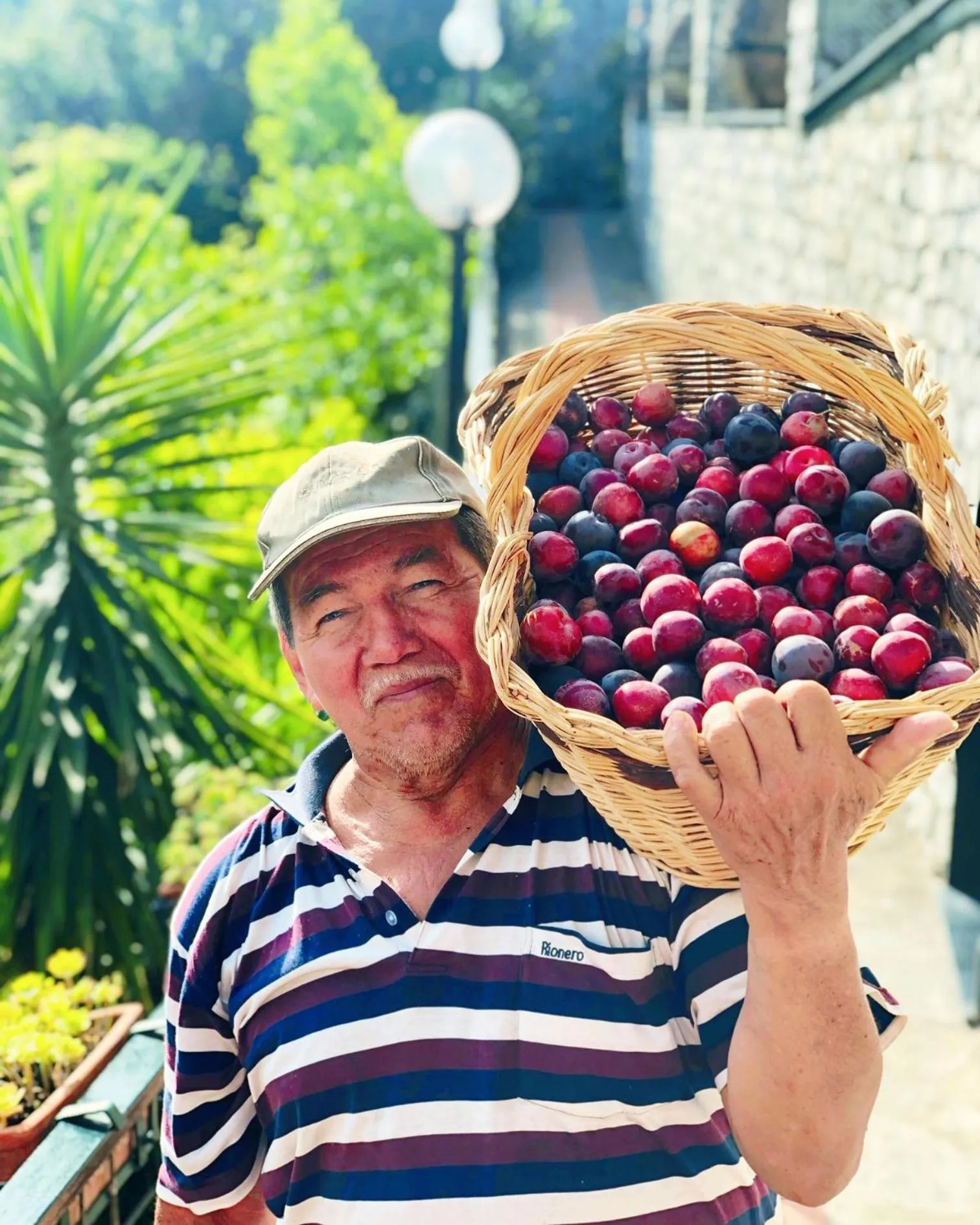 Garden in Hotel Villa Edera & La Torretta