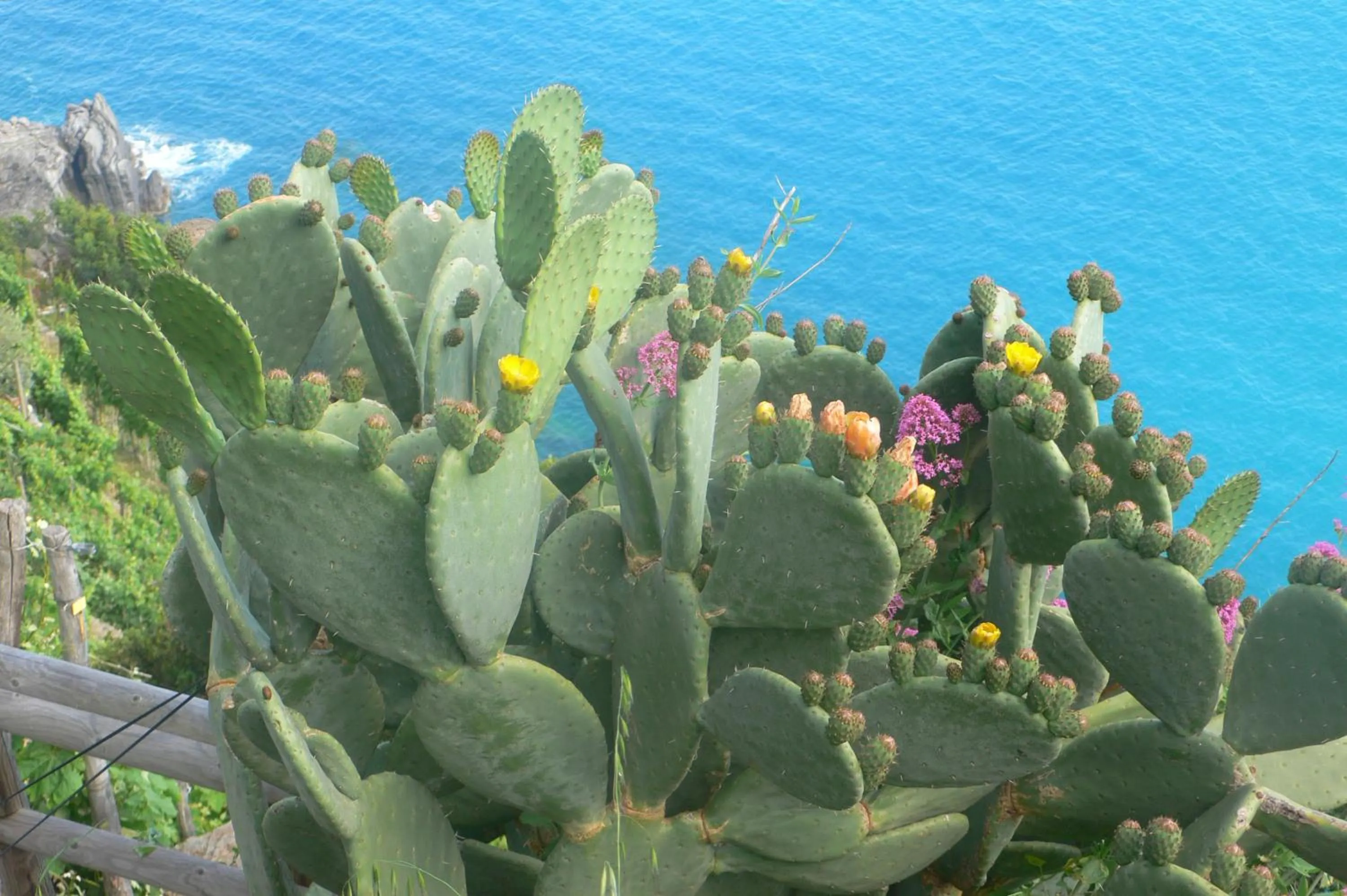 Day in Hotel Villa Edera & La Torretta