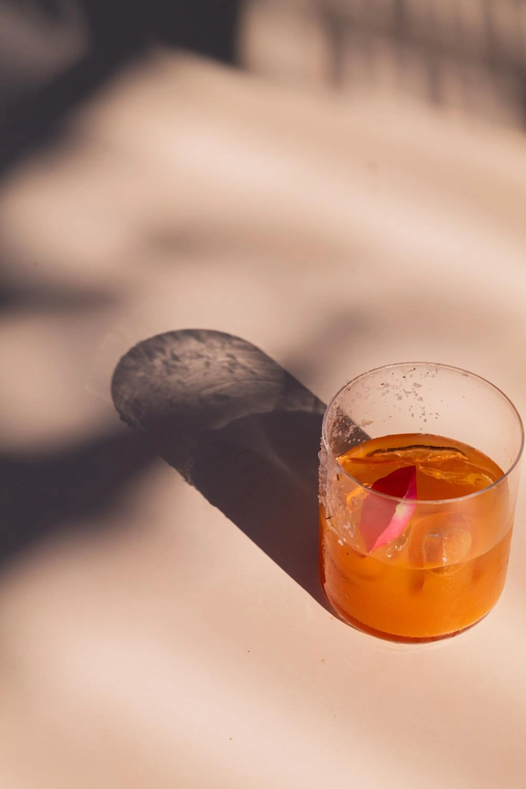 Lounge or bar in Hotel Villa Edera & La Torretta