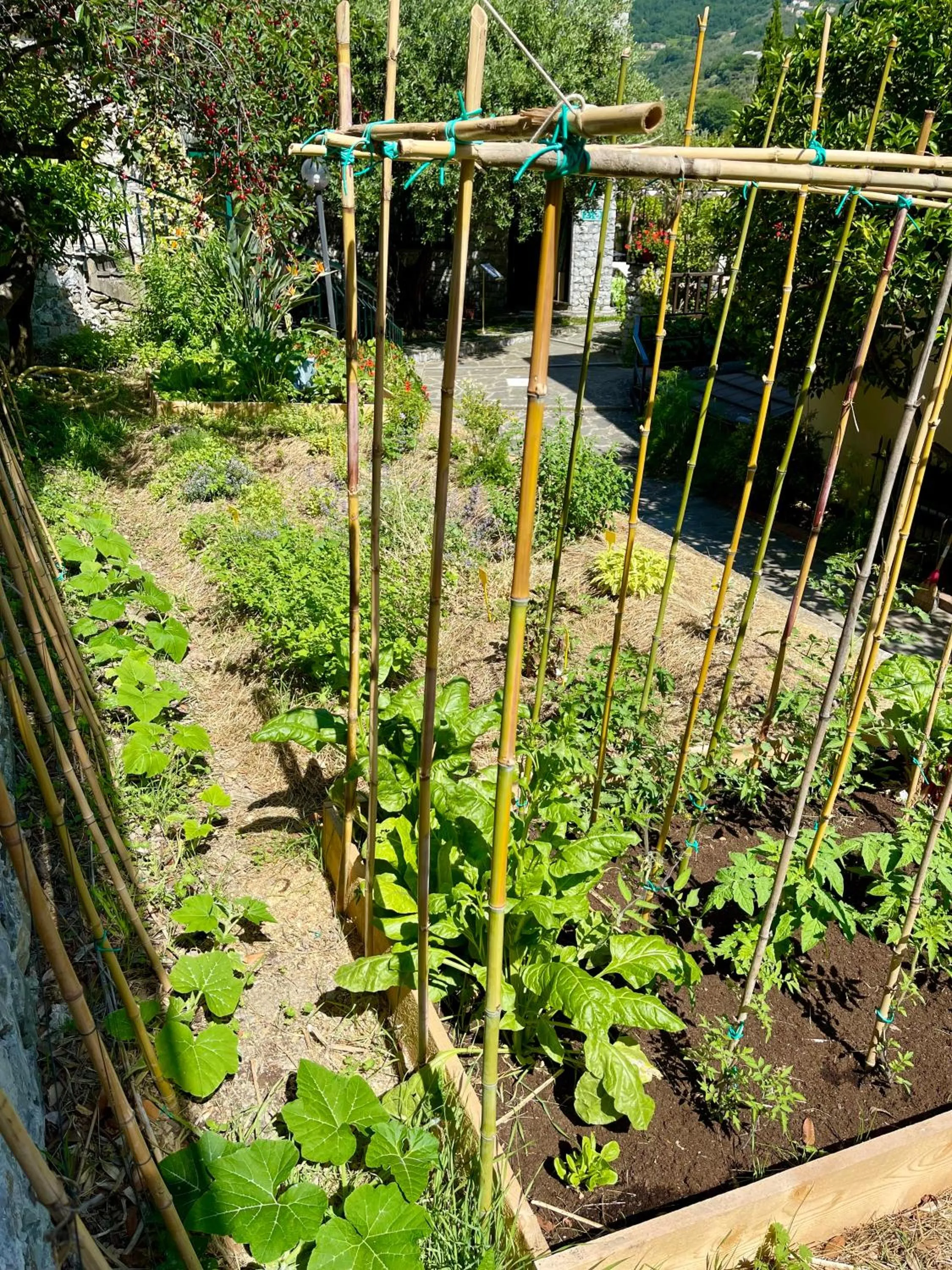 Garden in Hotel Villa Edera & La Torretta