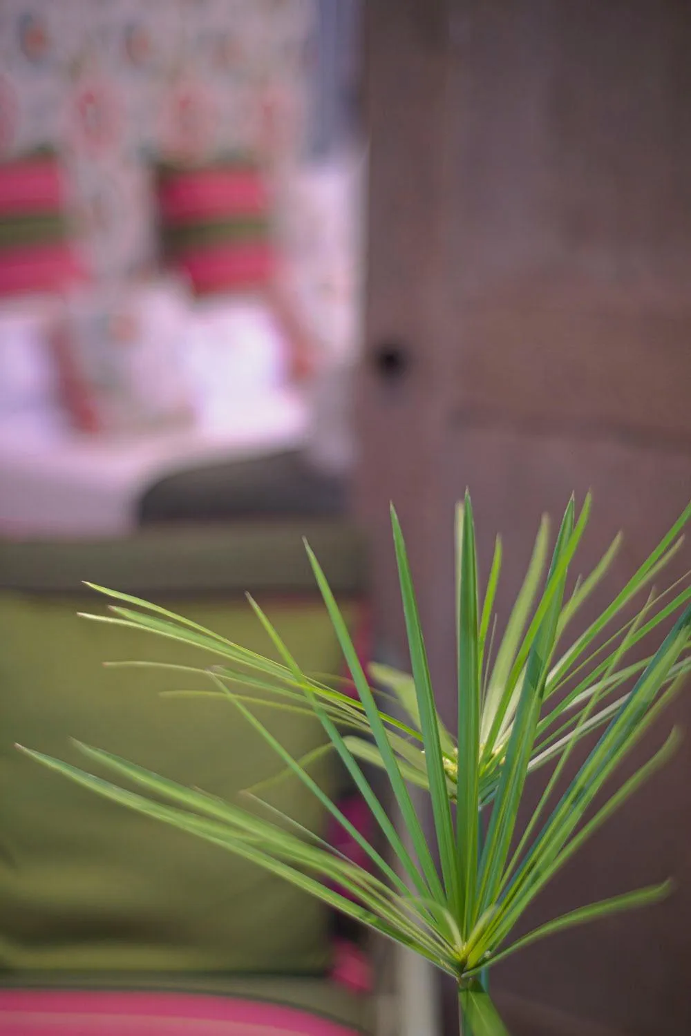 View (from property/room) in Hotel Villa Edera & La Torretta