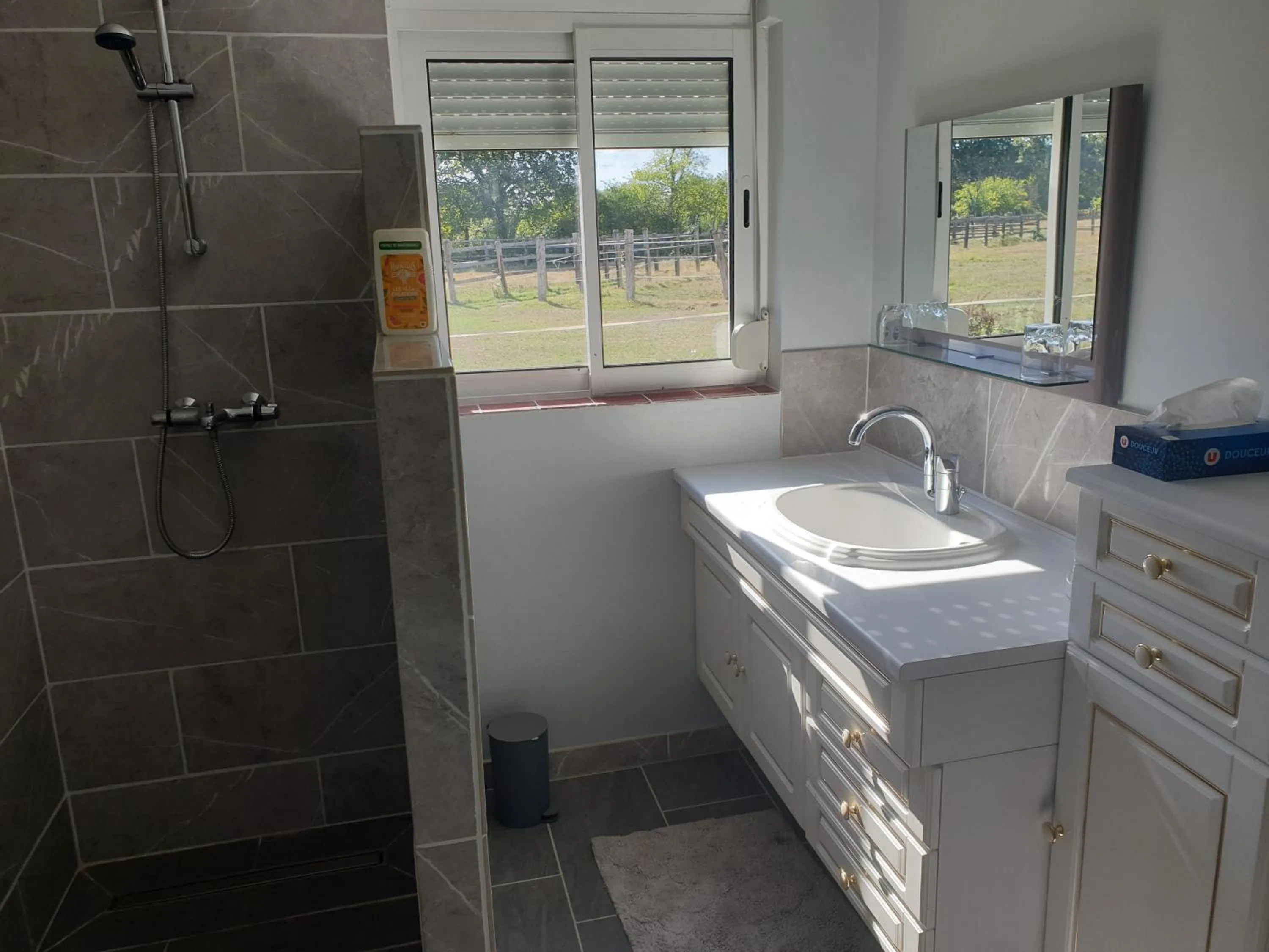 Bathroom in Gîte et Chambre d'hôte de l'élevage du Lattay