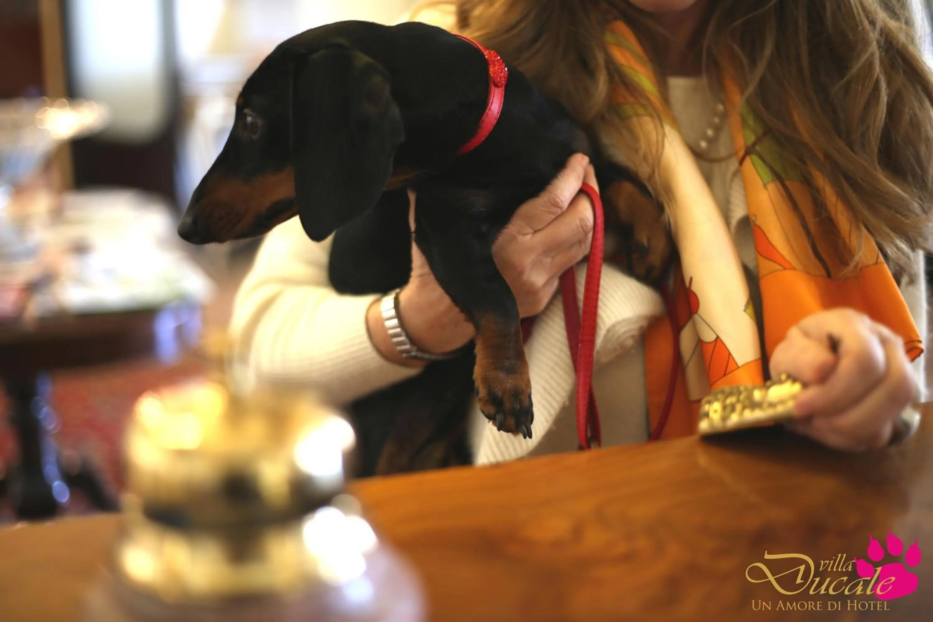 Pets in Villa Ducale Hotel & Ristorante