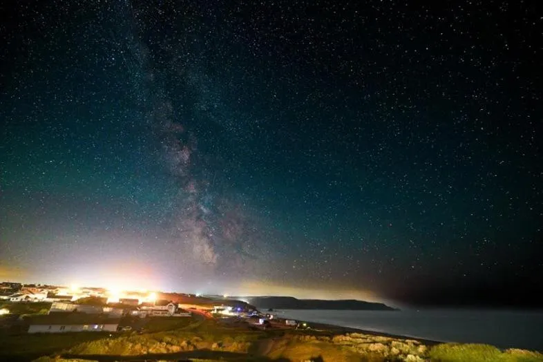 Garden in Beach House B&B