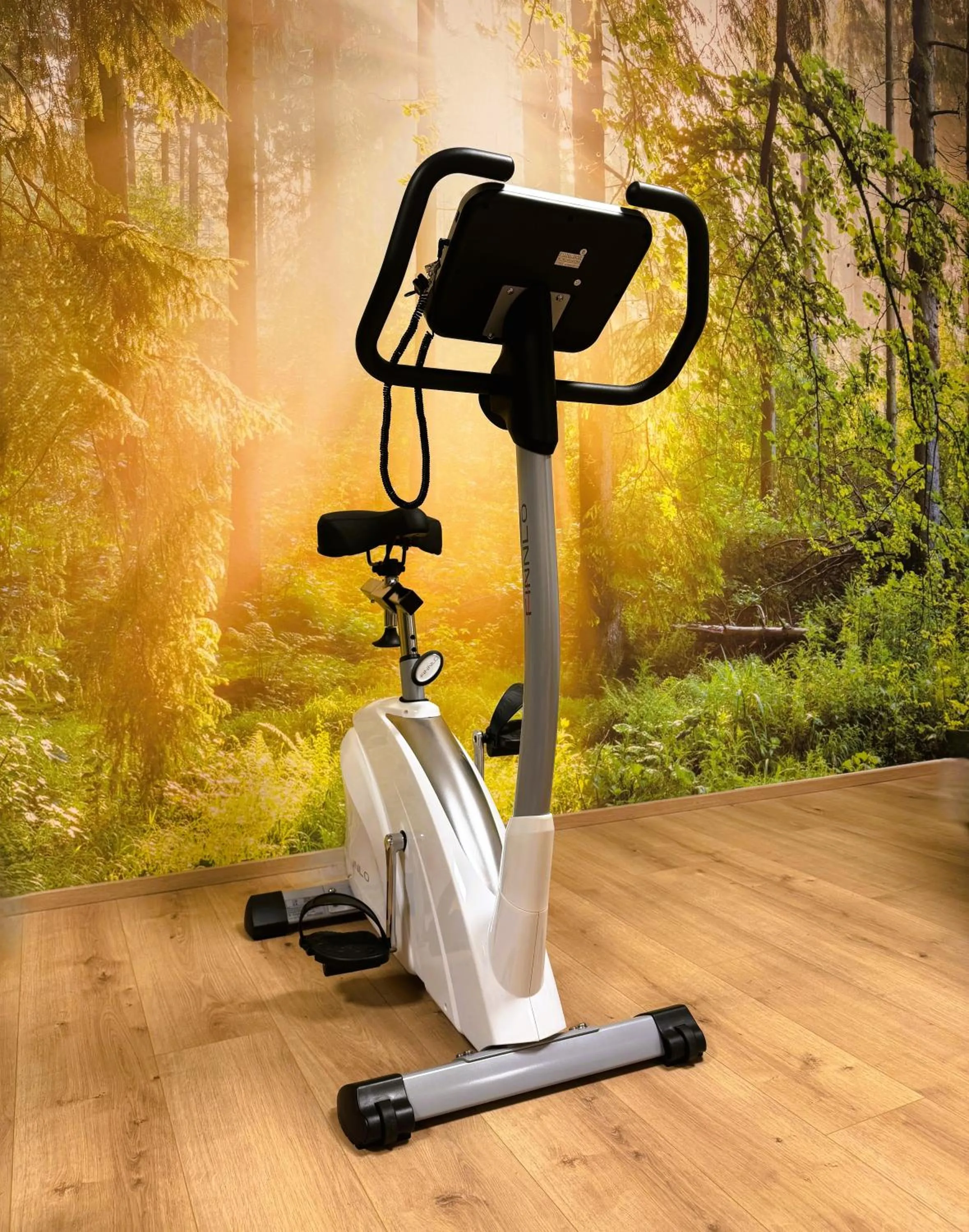 Fitness centre/facilities in Der Marienhof Hotel Garni