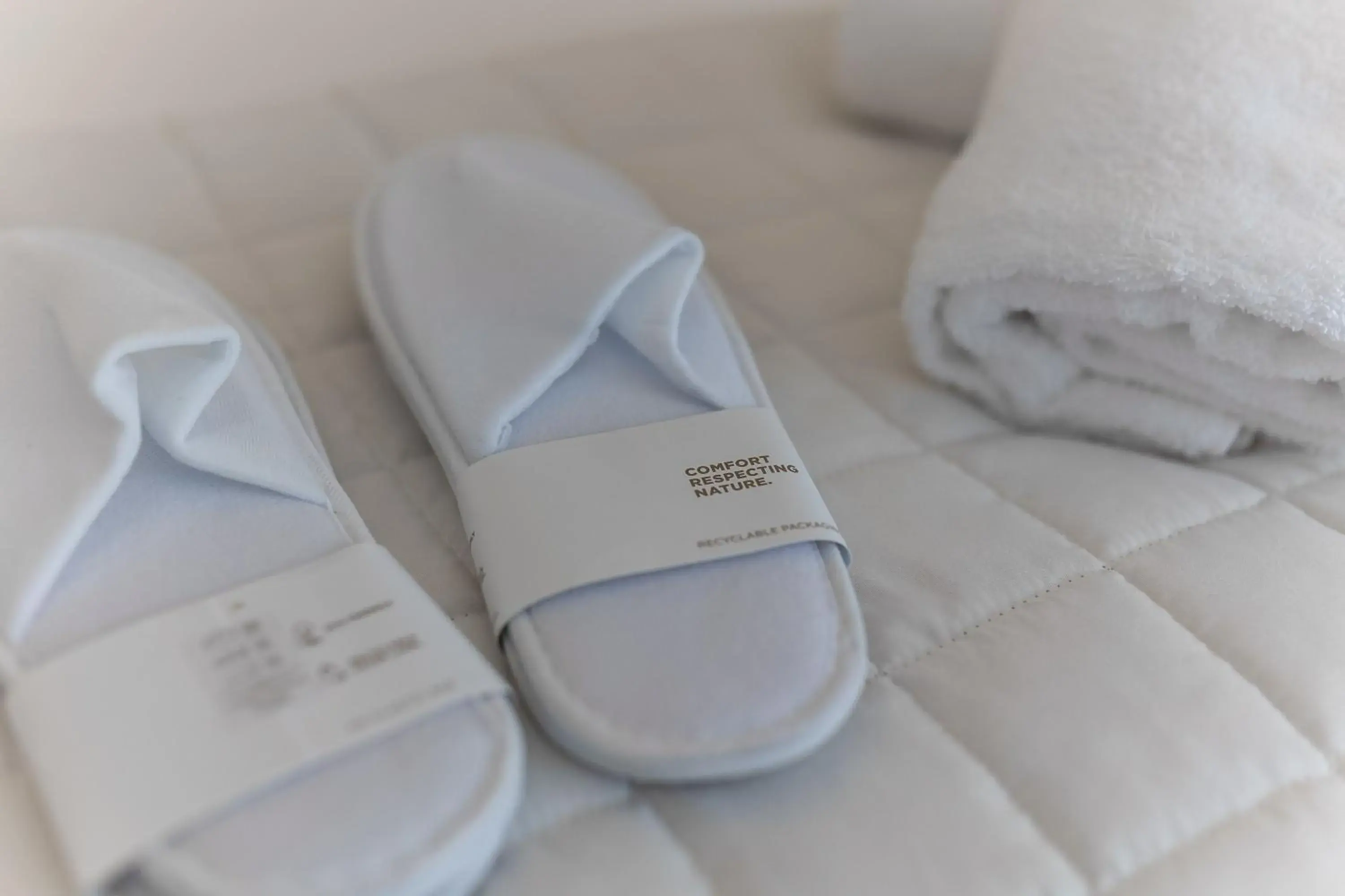 Marittimo in MARITTIMO Milano Marittima Marittimo in MARITTIMO Milano Marittima