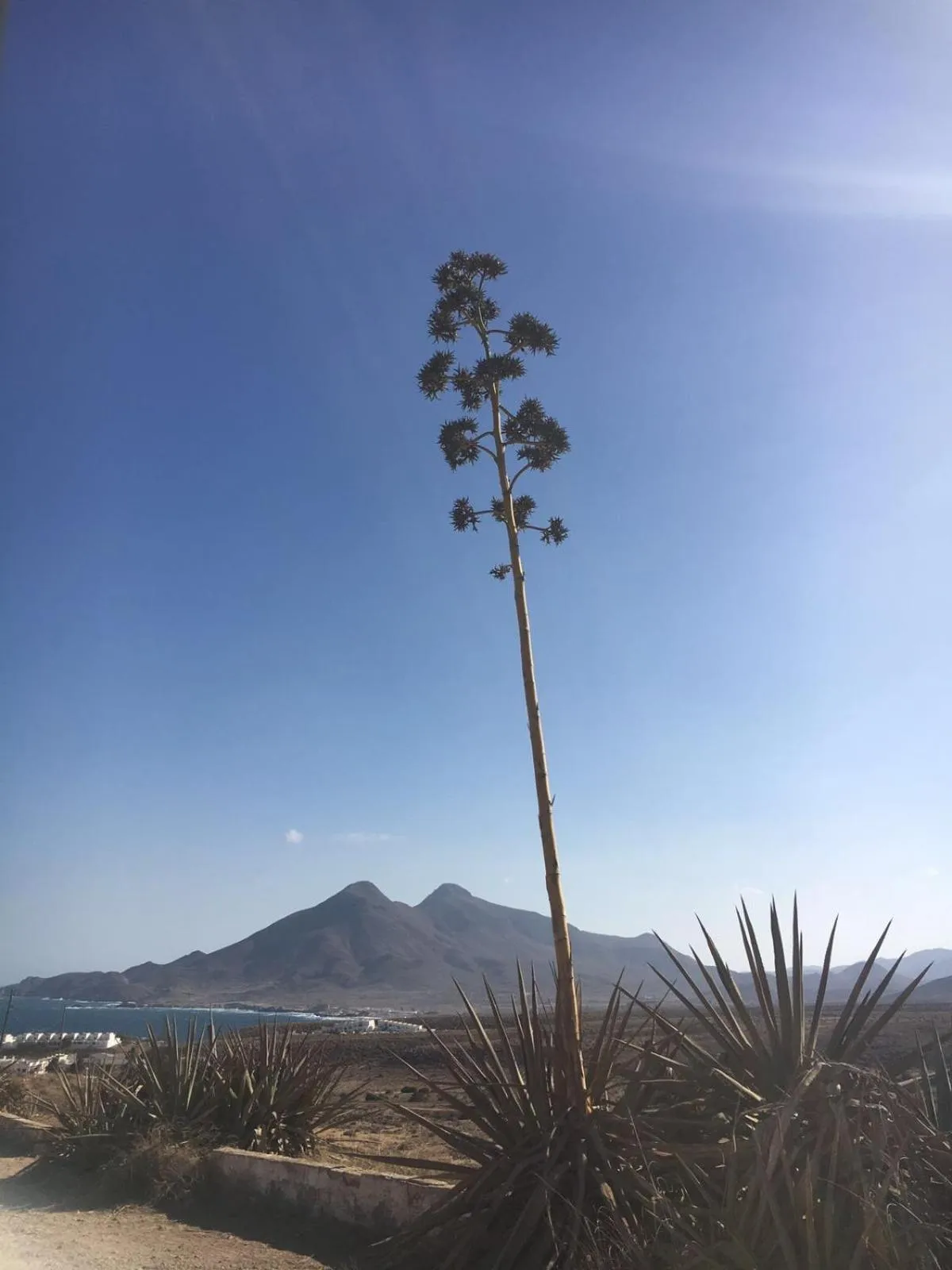 Nearby landmark in Cortijo Torreblanca Casa Rural Parque Natural Cabo de Gata