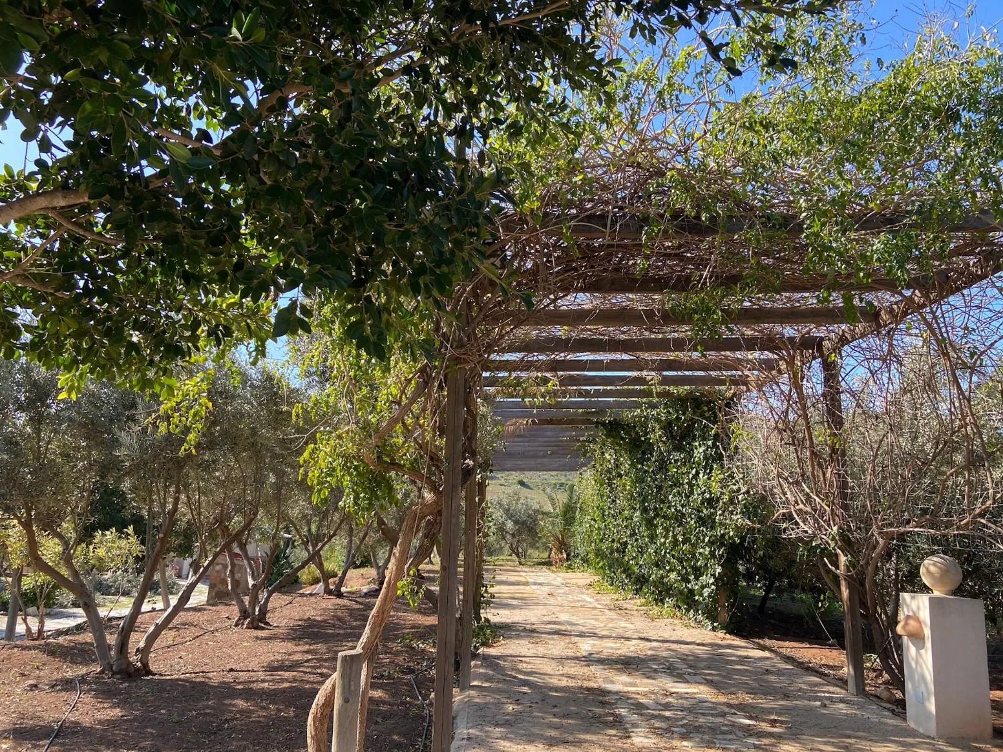 Cortijo Torreblanca Casa Rural Parque Natural Cabo de Gata