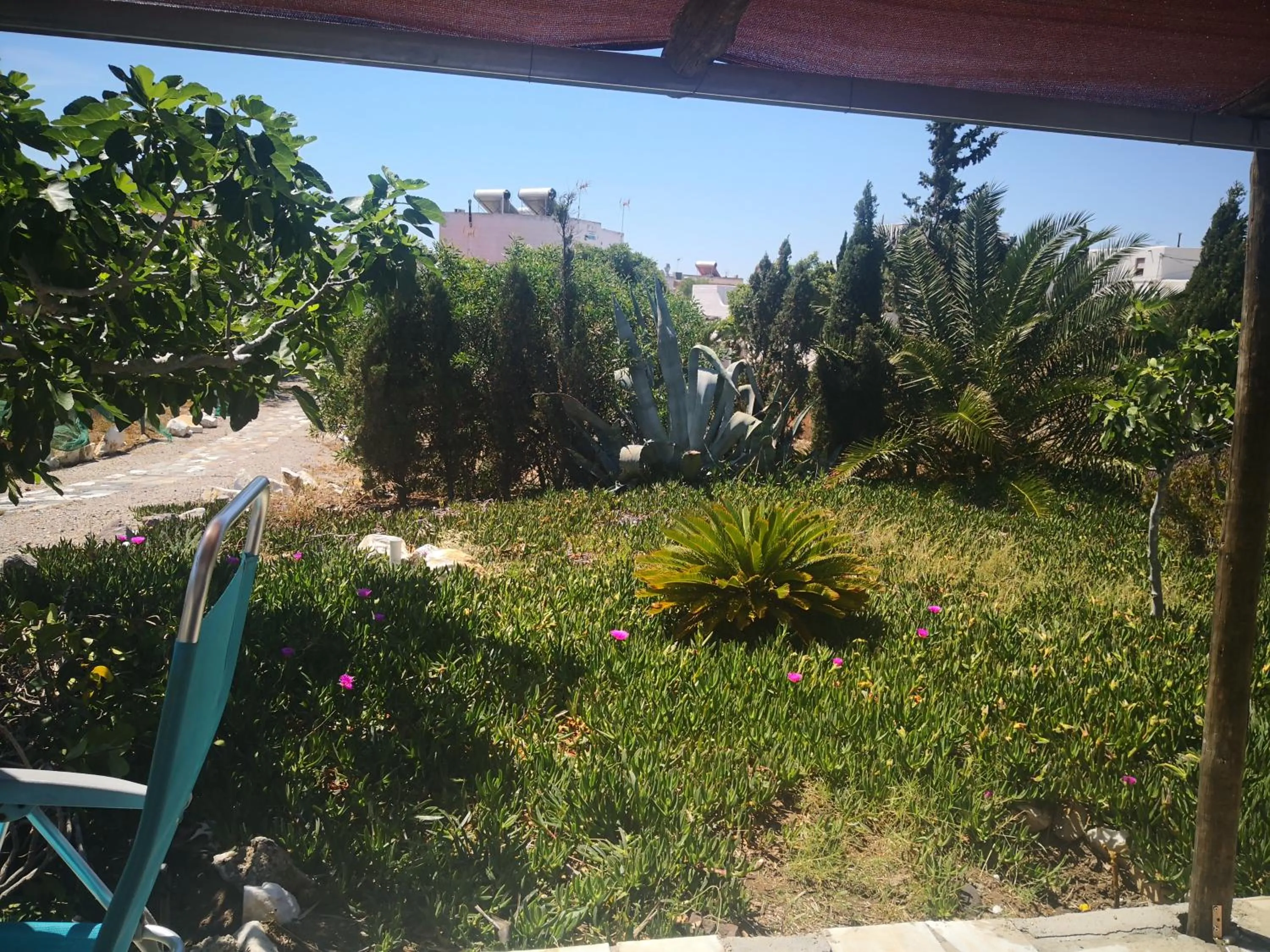 Garden in Cortijo Torreblanca Casa Rural Parque Natural Cabo de Gata