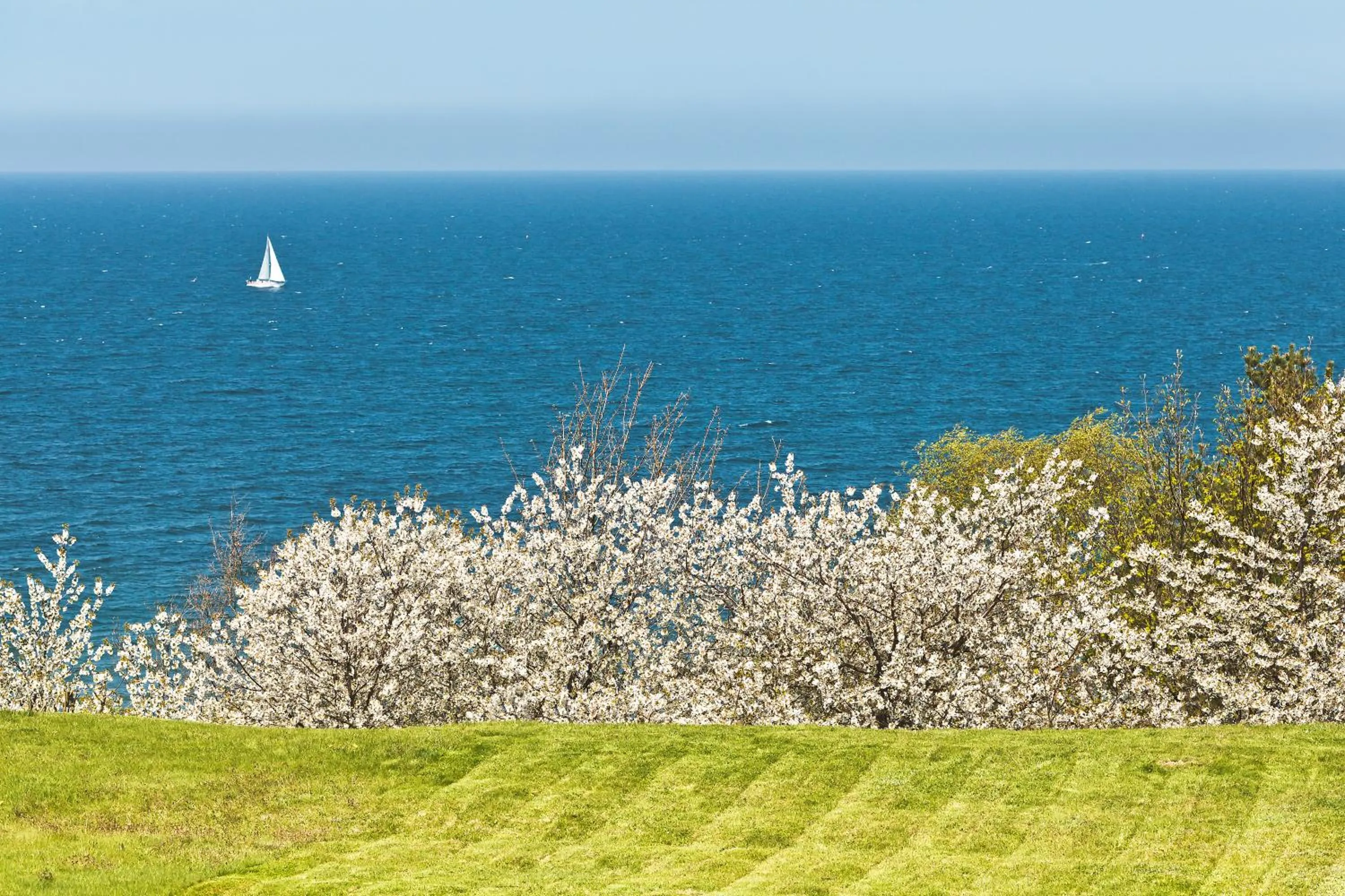 Day in Hotel Restauracja Faleza