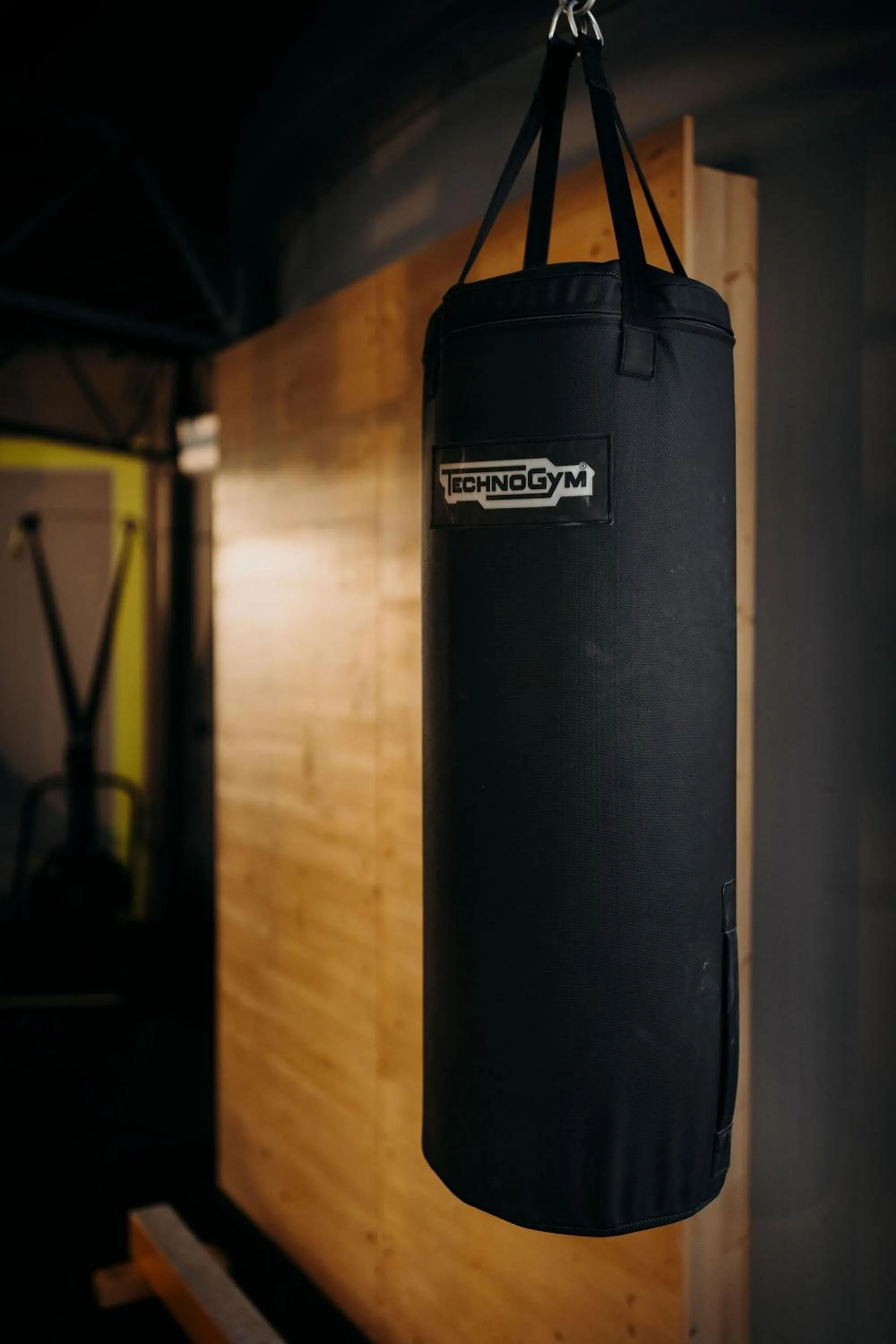 Fitness centre/facilities in Alpina Alpendorf