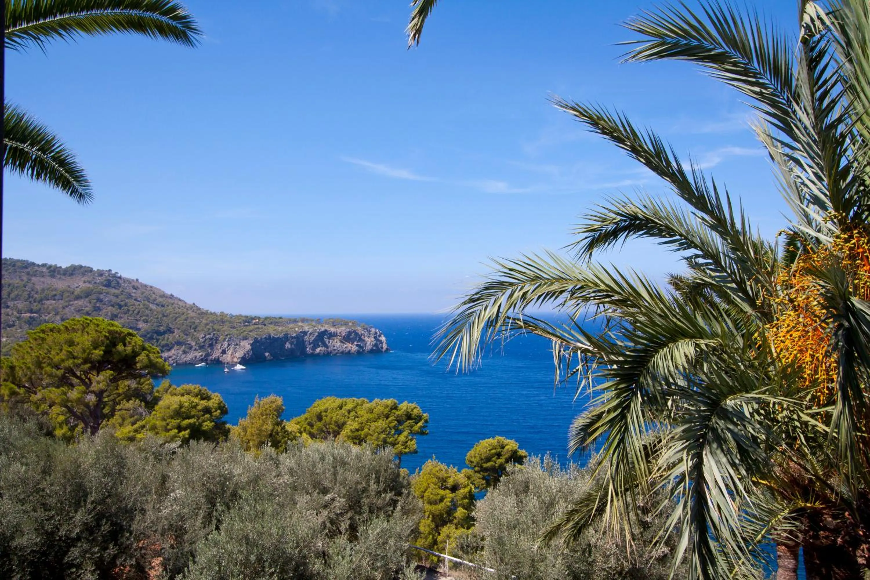 View (from property/room) in Hoposa Costa D'or - Adults Only